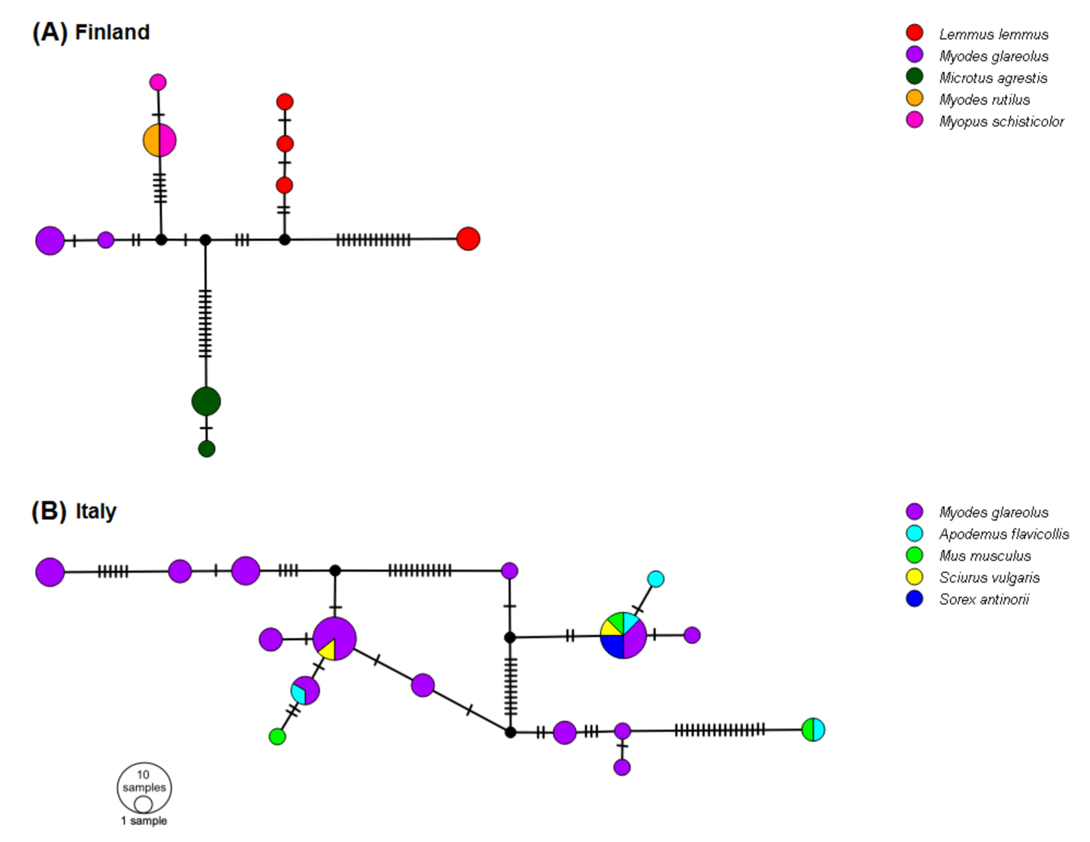 Viruses 13 01317 g007 Viruses 13 01317 g007
