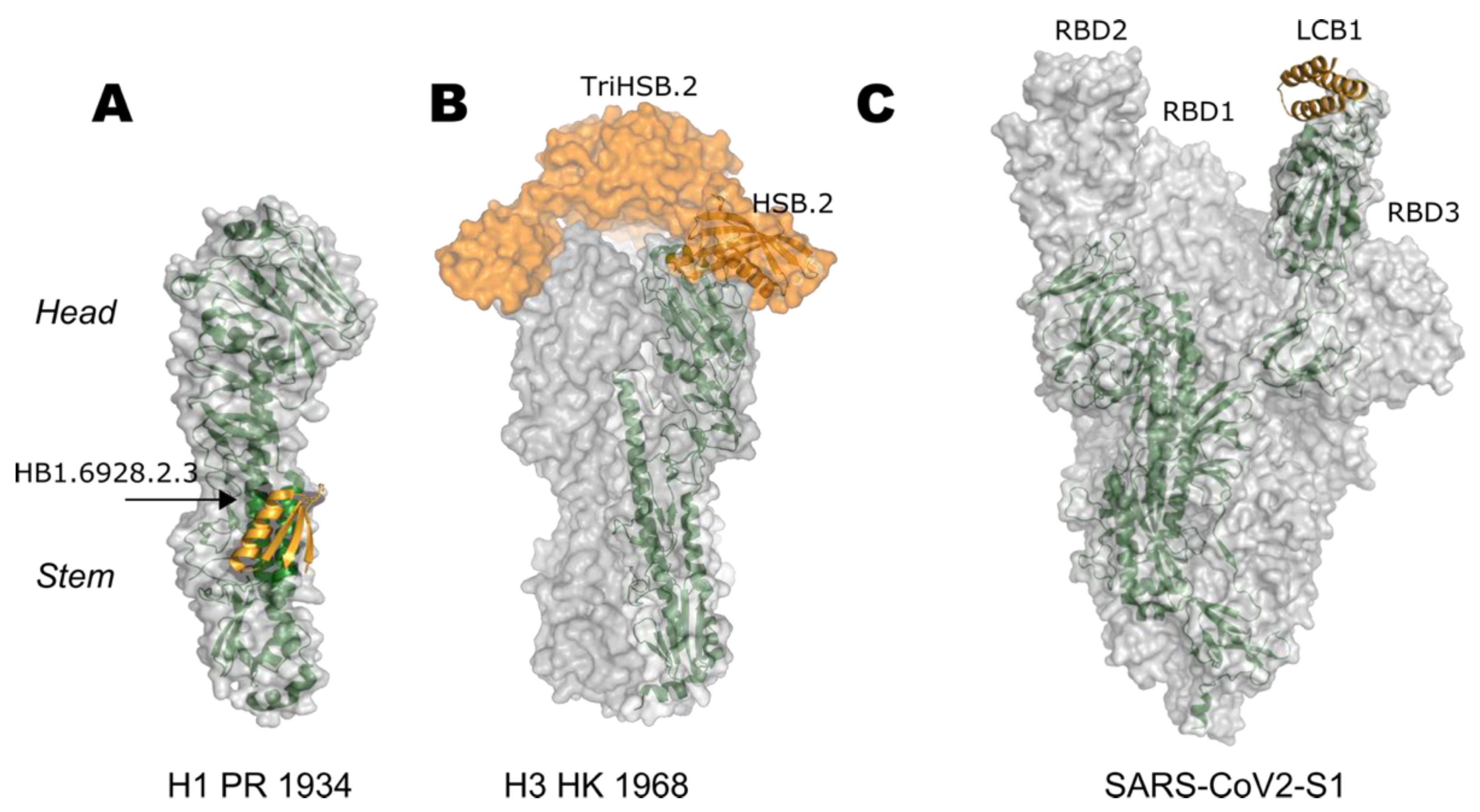 Viruses 13 01320 g002 550
