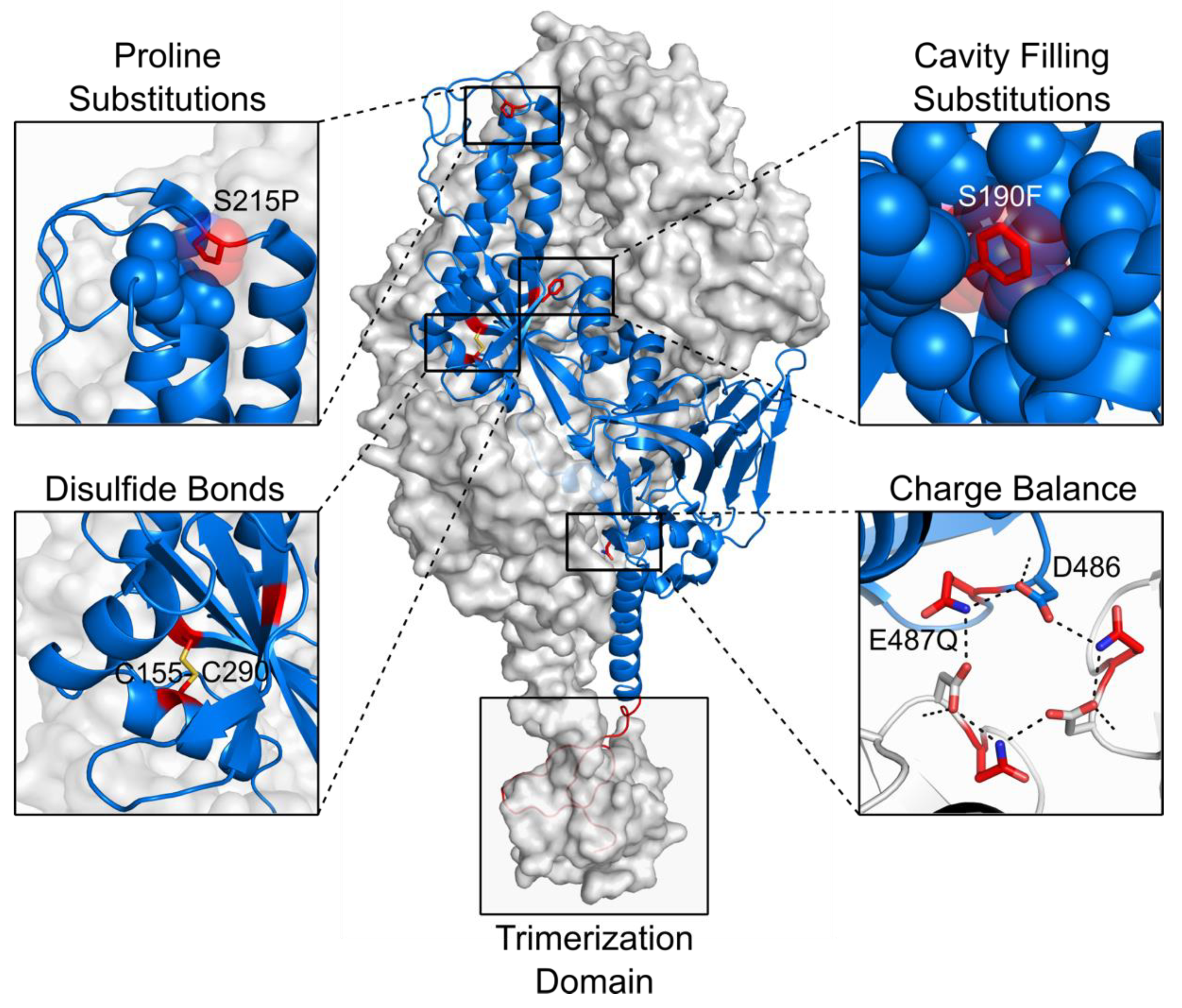 Viruses 13 01320 g003 550