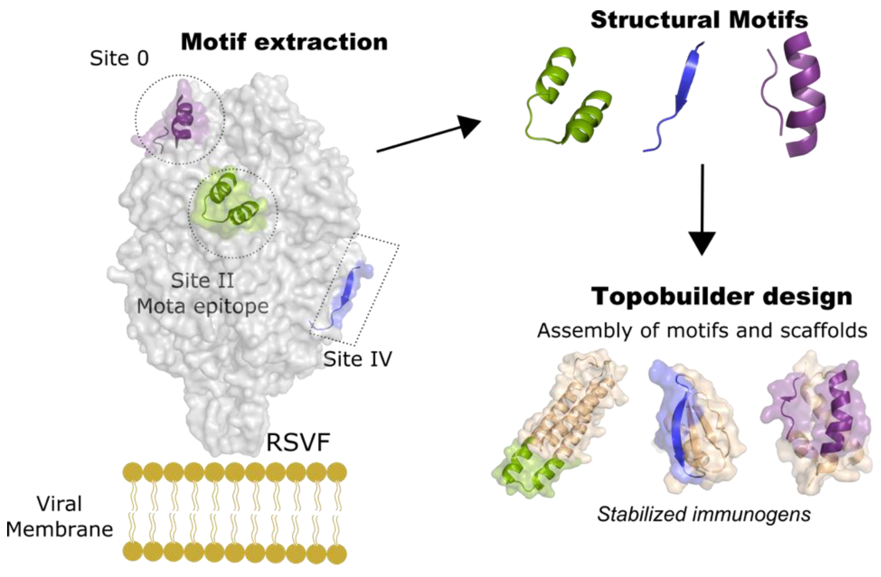 Viruses 13 01320 g004 550