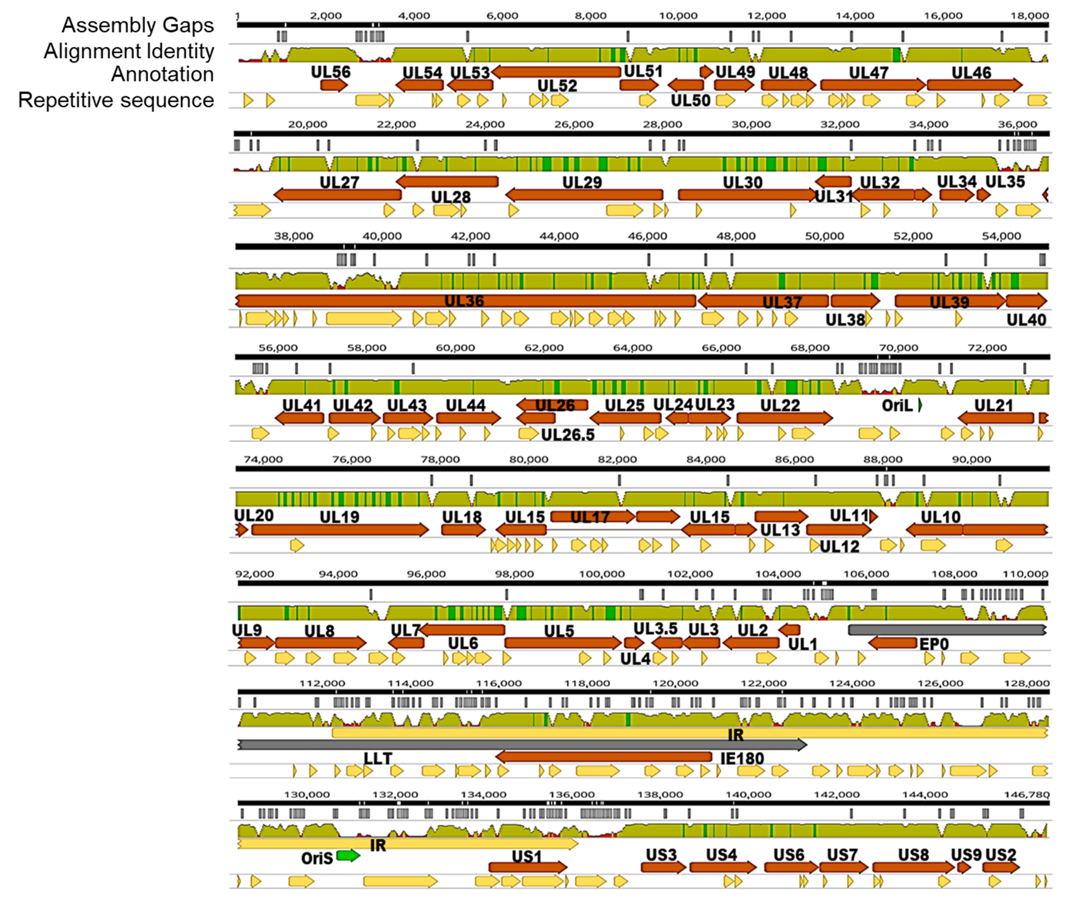 Viruses 13 01322 g001 Viruses 13 01322 g001