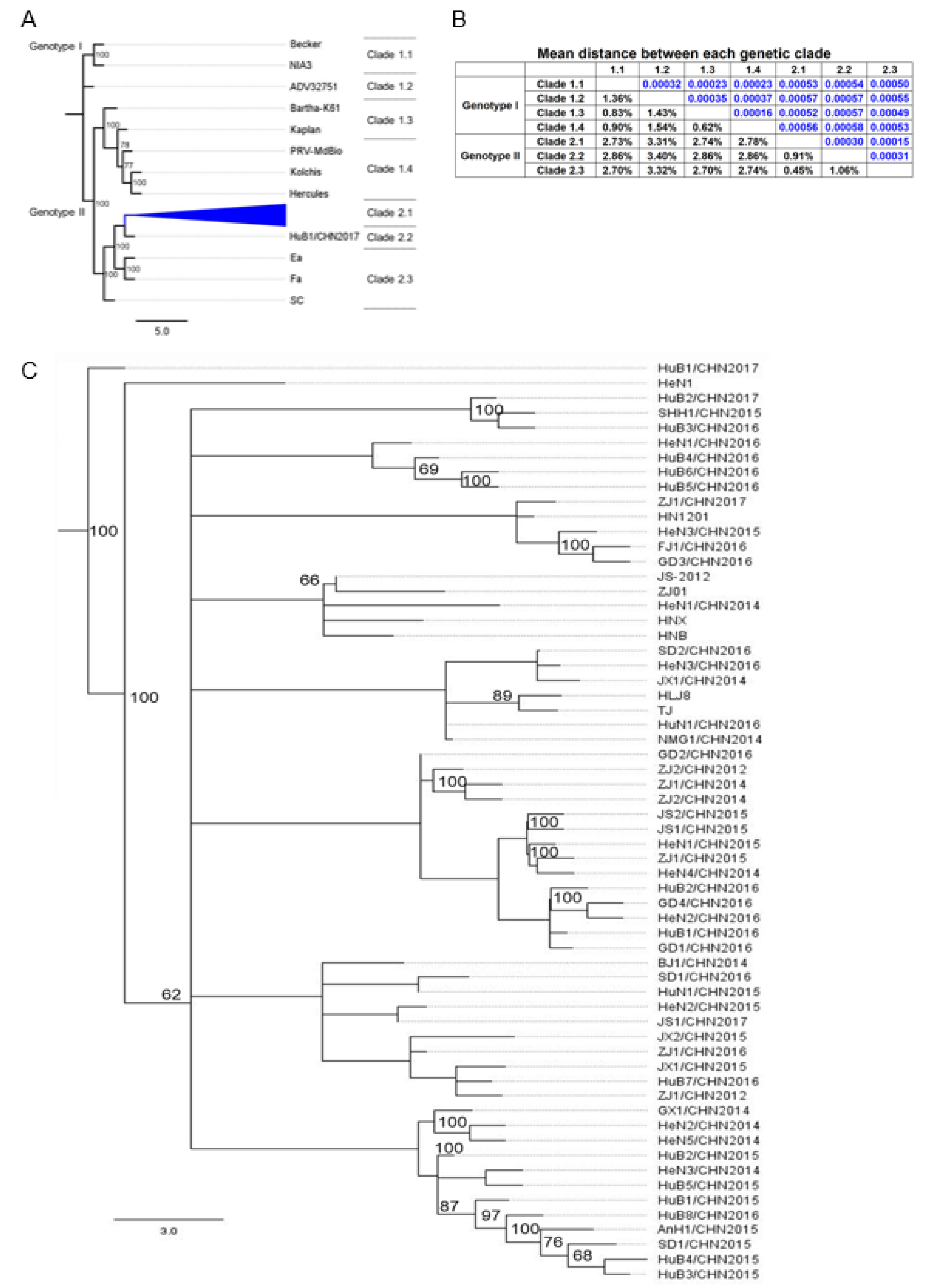 Viruses 13 01322 g002 Viruses 13 01322 g002