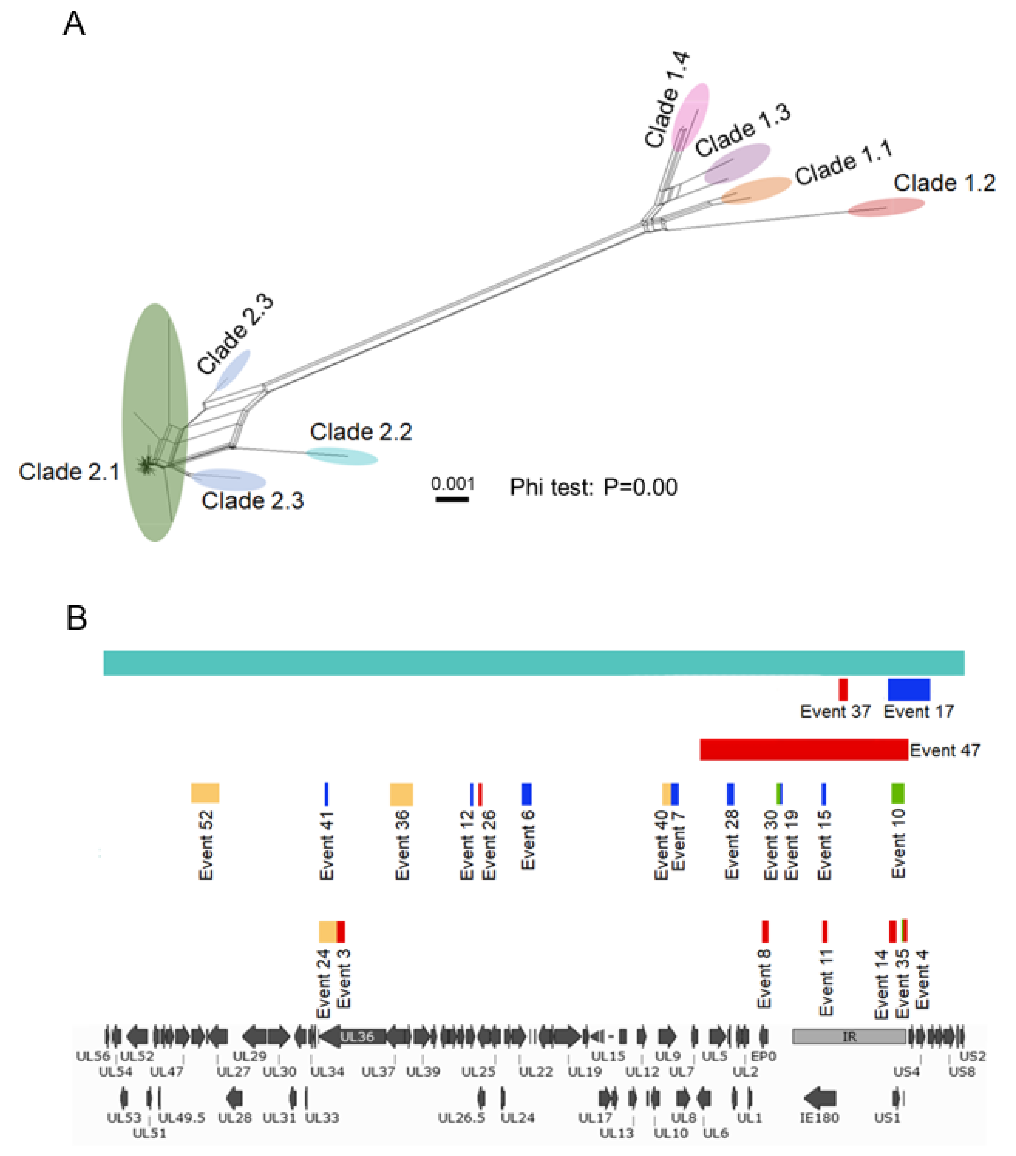 Viruses 13 01322 g003 Viruses 13 01322 g003