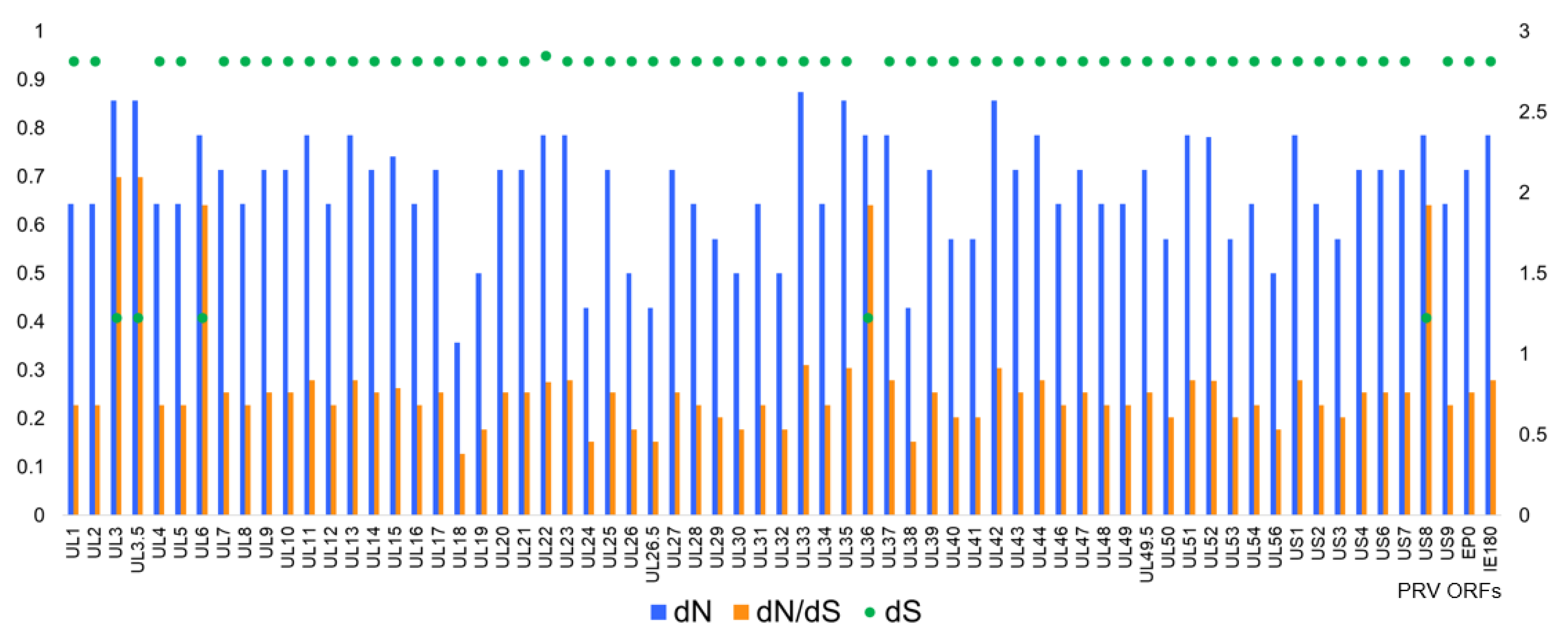 Viruses 13 01322 g005 Viruses 13 01322 g005