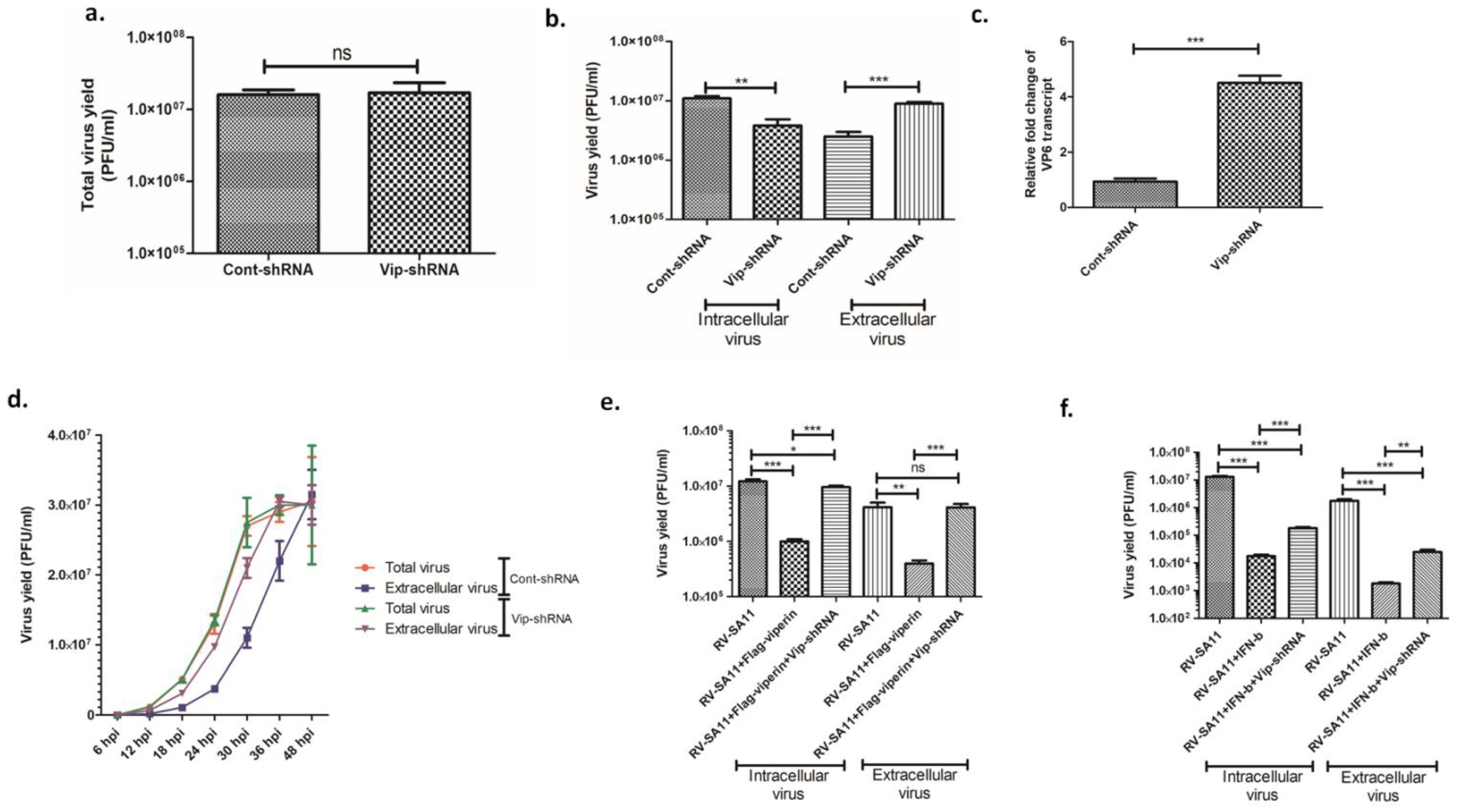 Viruses 13 01324 g002 Viruses 13 01324 g002