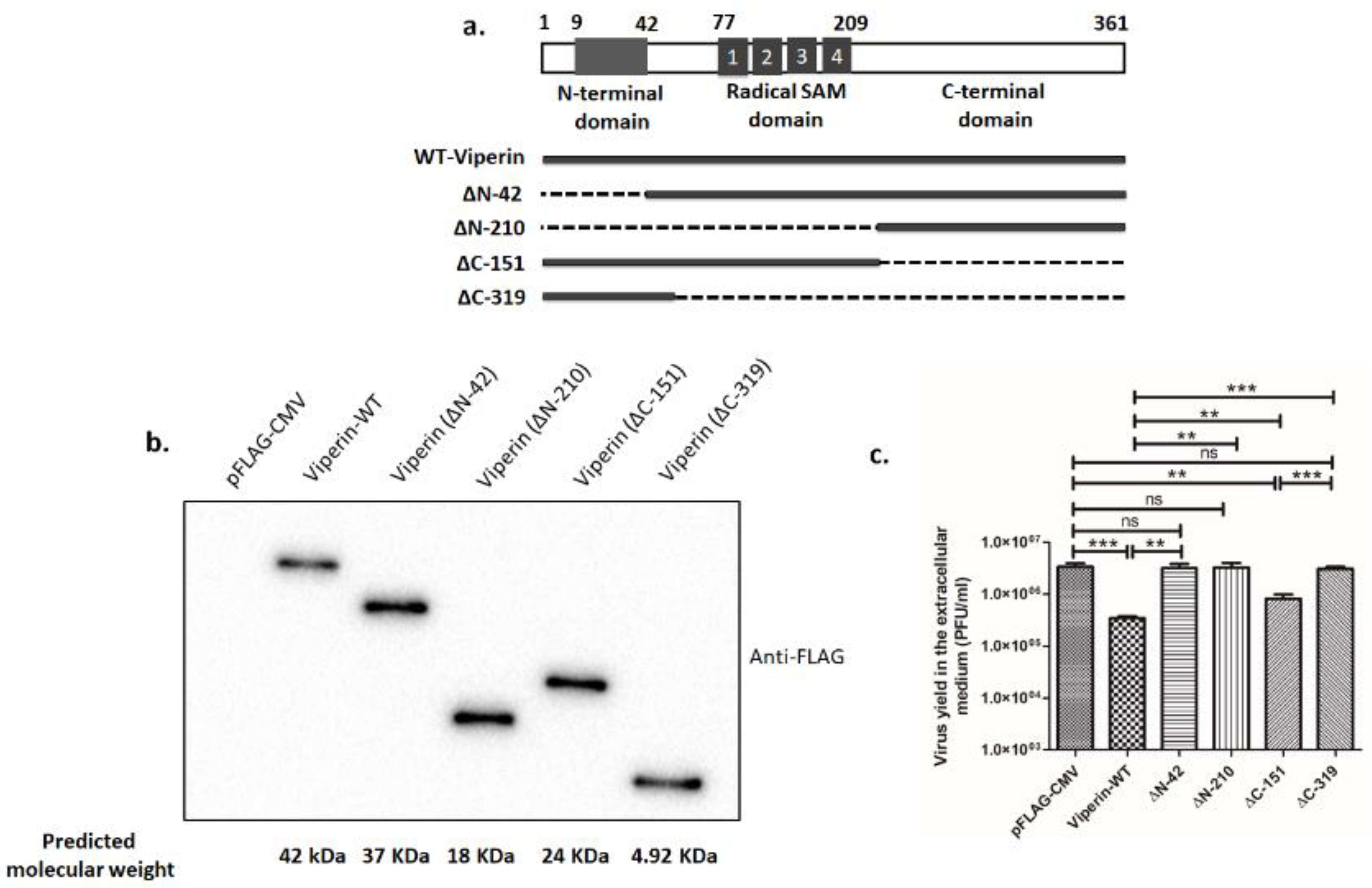 Viruses 13 01324 g003 Viruses 13 01324 g003