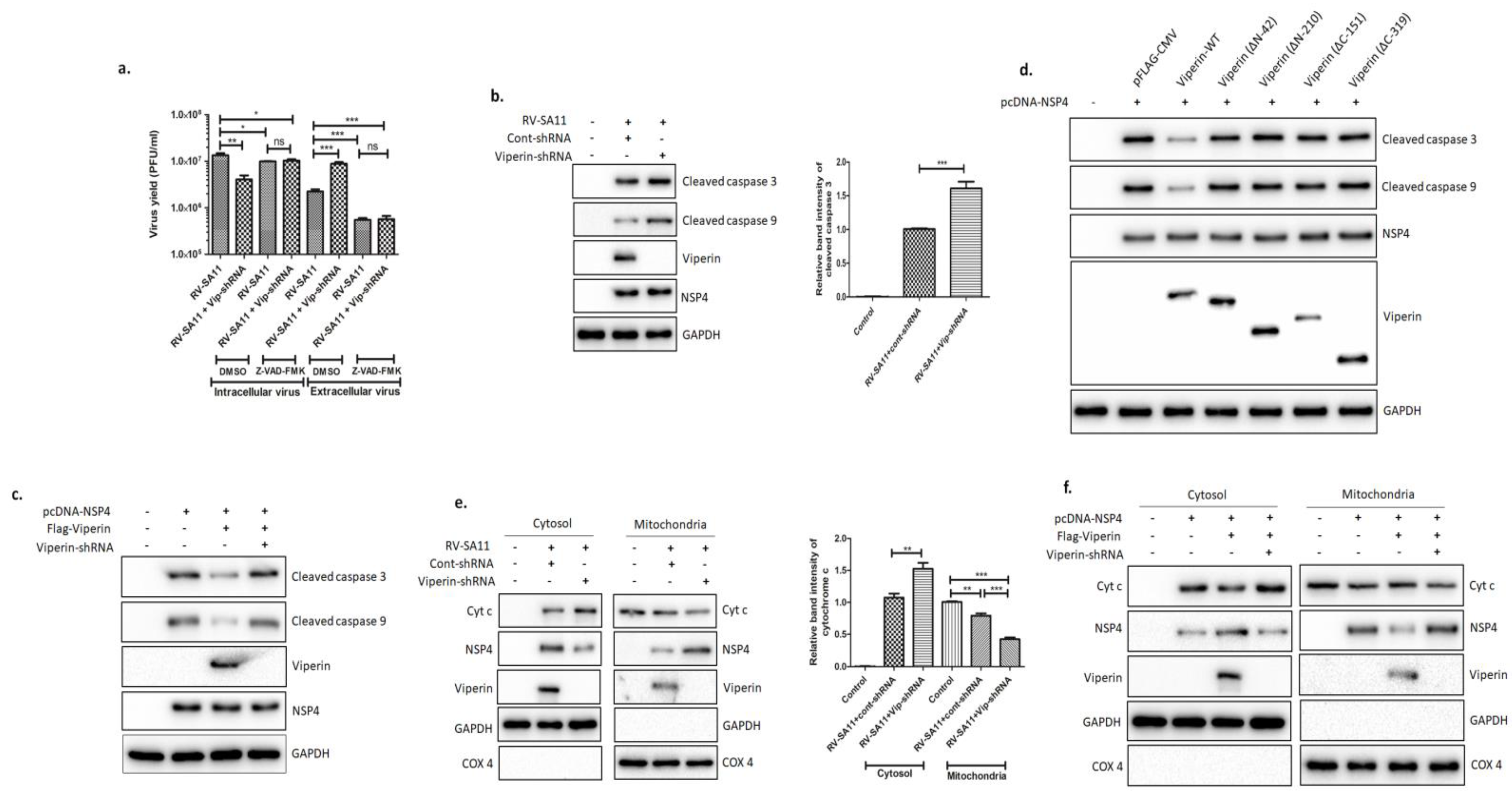 Viruses 13 01324 g006 Viruses 13 01324 g006