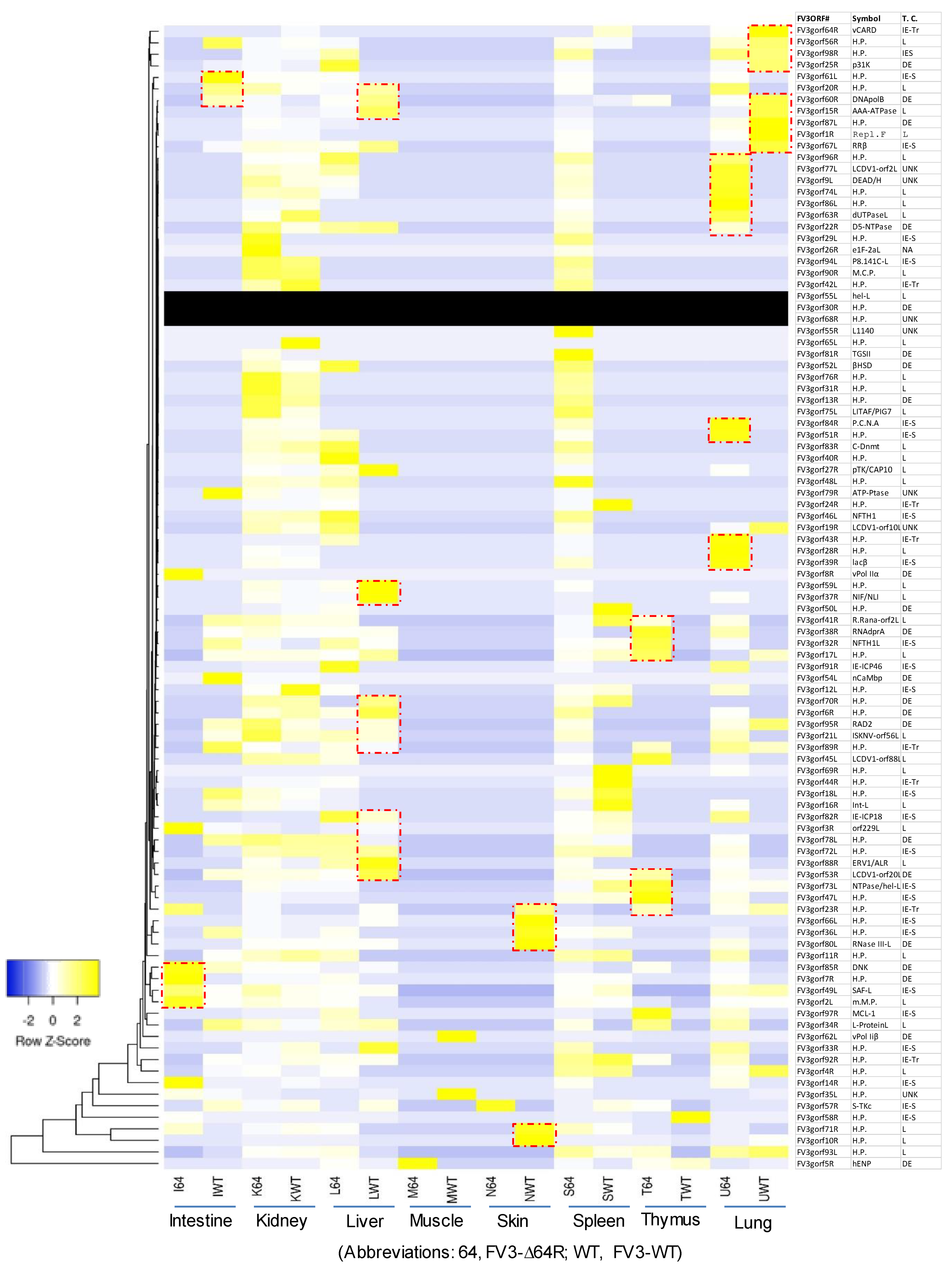 Viruses 13 01325 g004