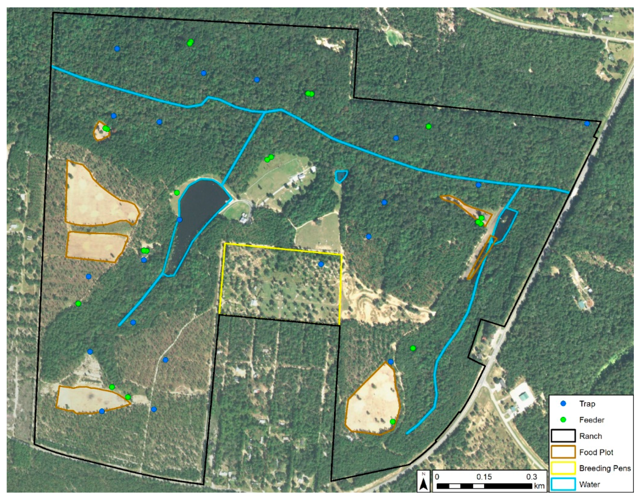 Viruses 13 01328 g001