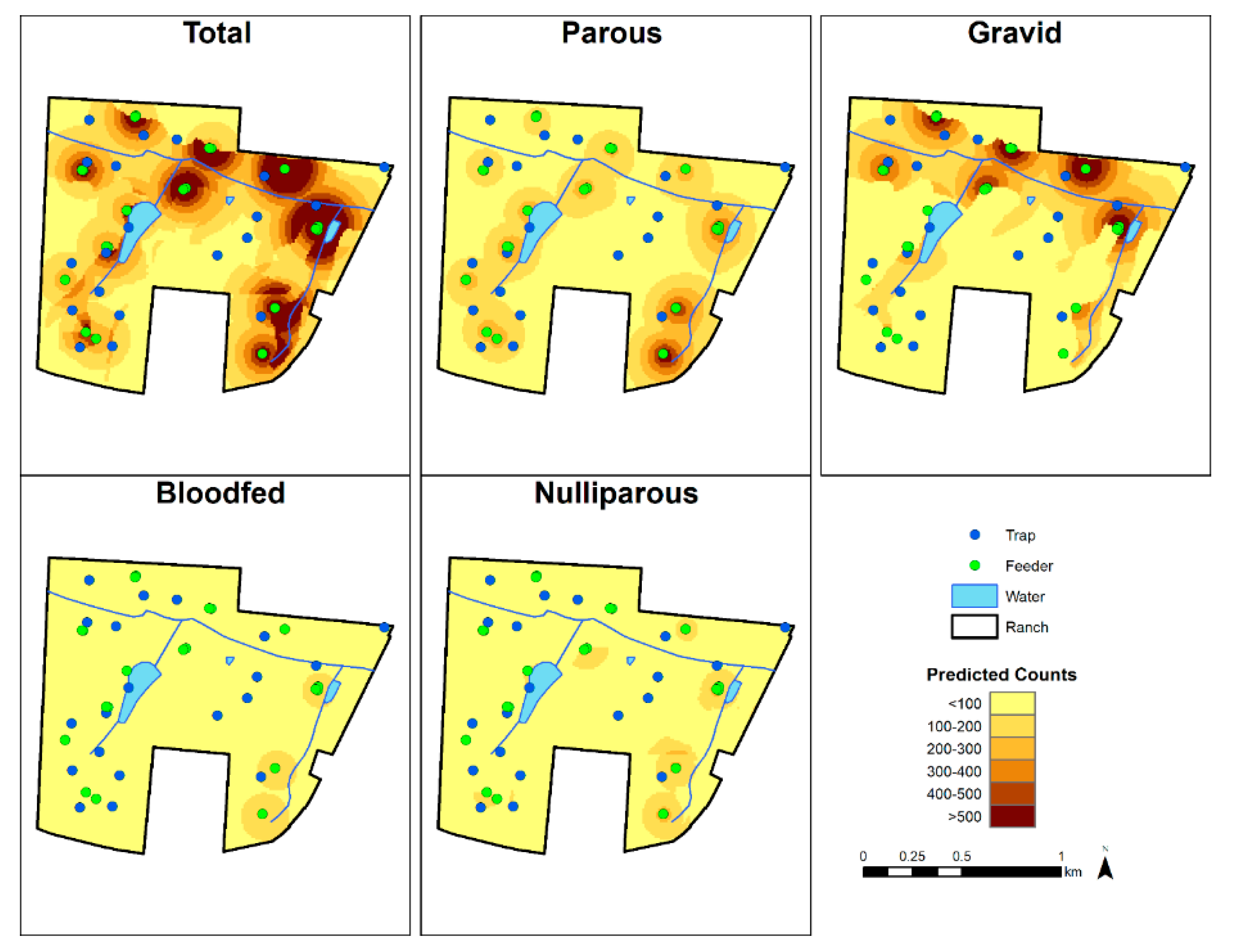 Viruses 13 01328 g003