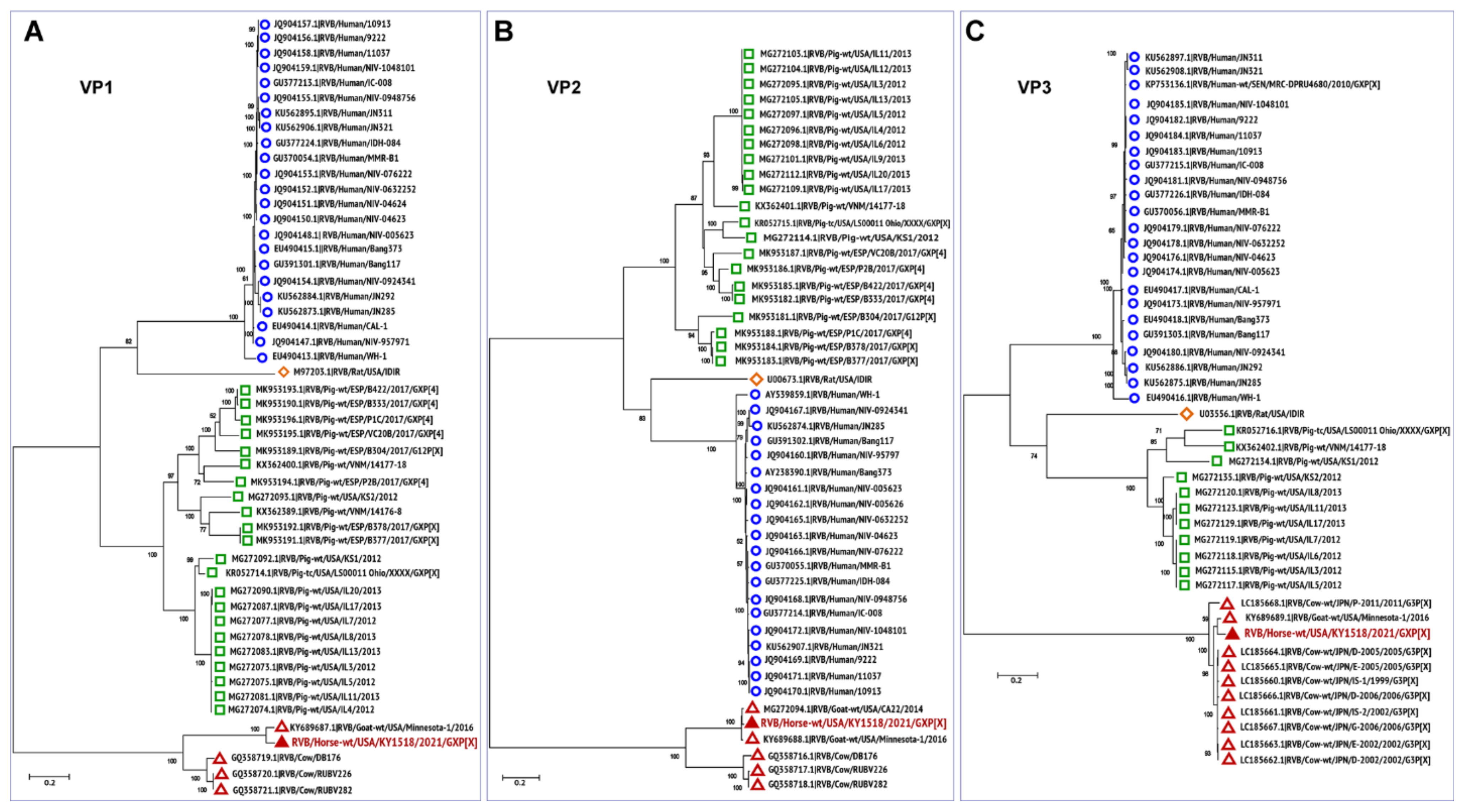 Viruses 13 01330 g002 Viruses 13 01330 g002