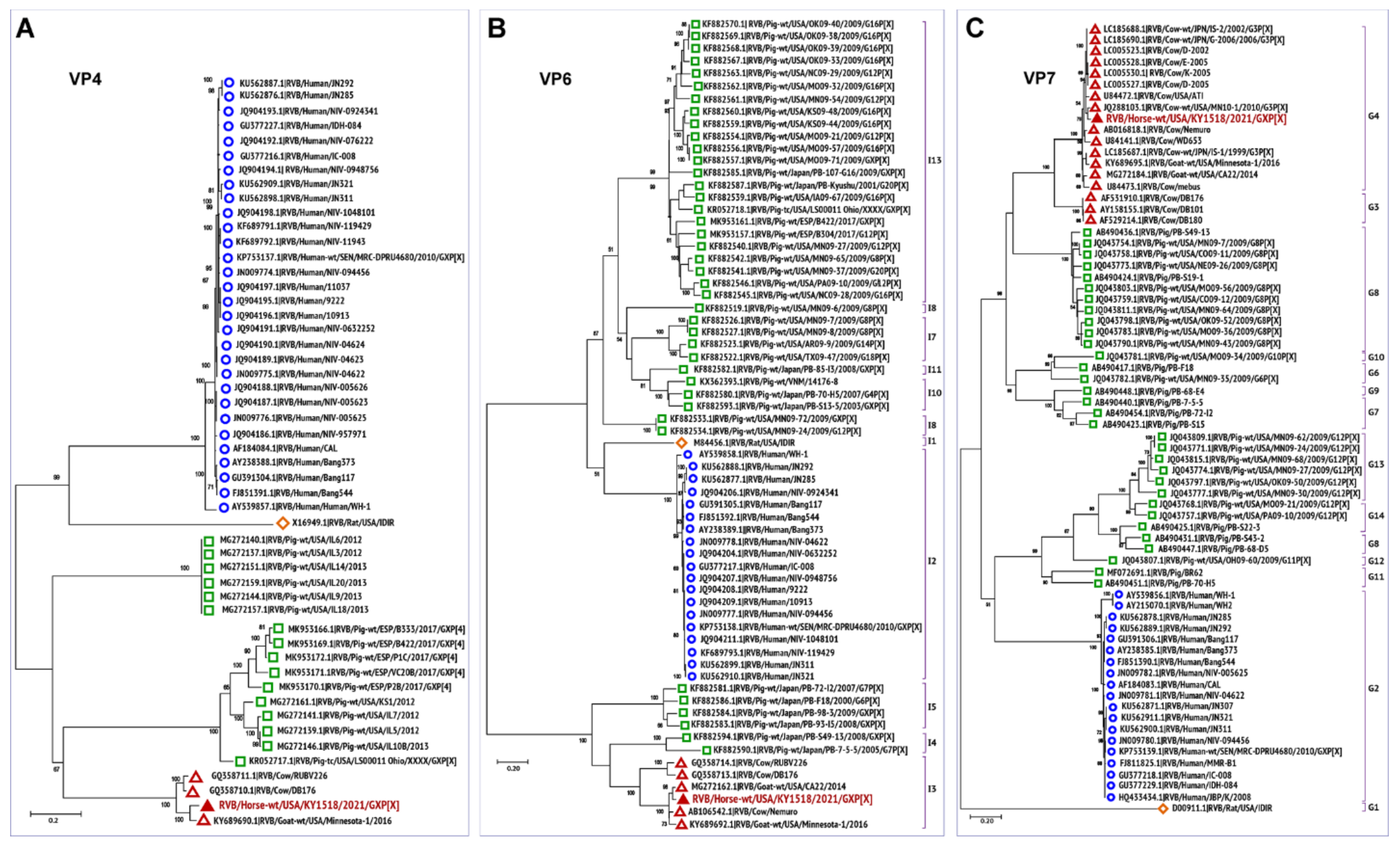 Viruses 13 01330 g003 Viruses 13 01330 g003