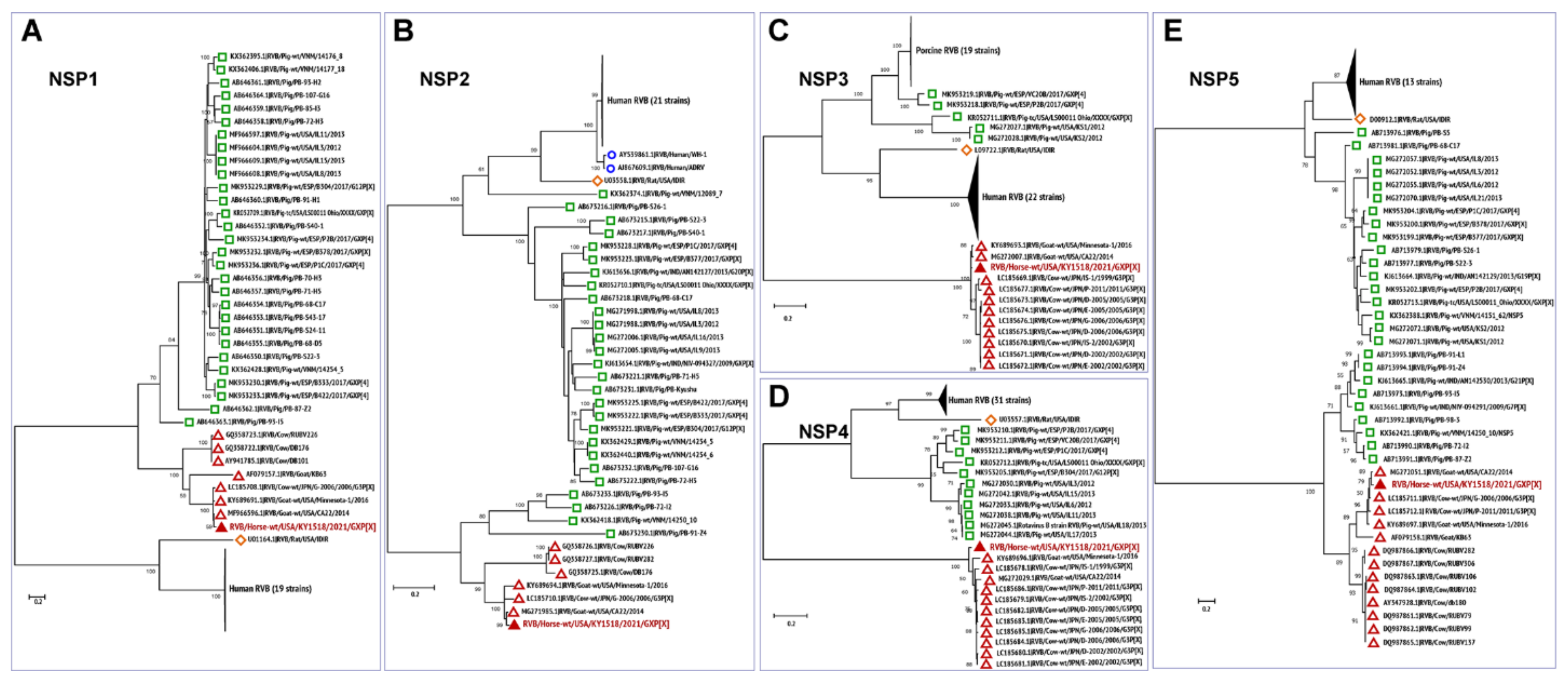 Viruses 13 01330 g004 Viruses 13 01330 g004