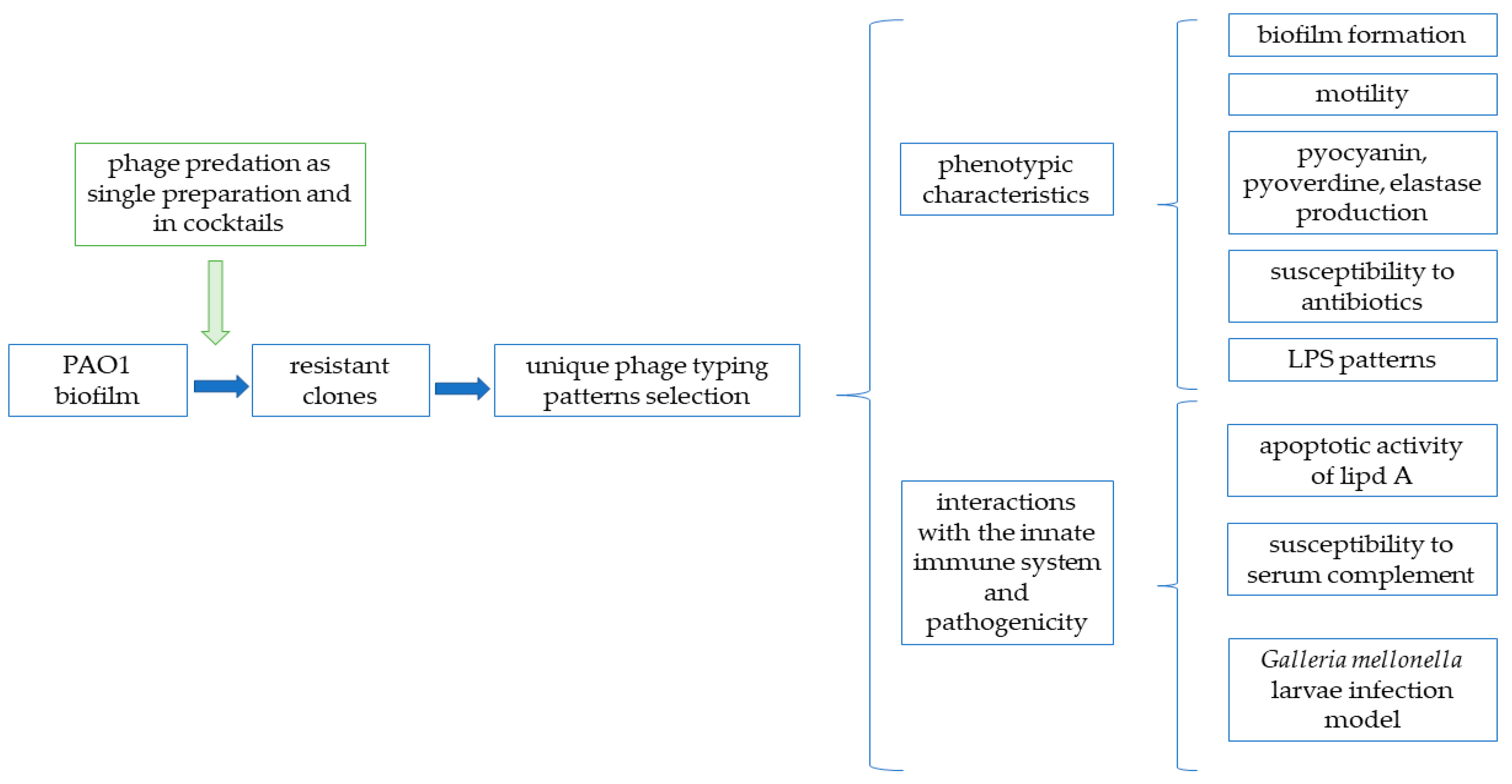 Viruses 13 01332 g001 550