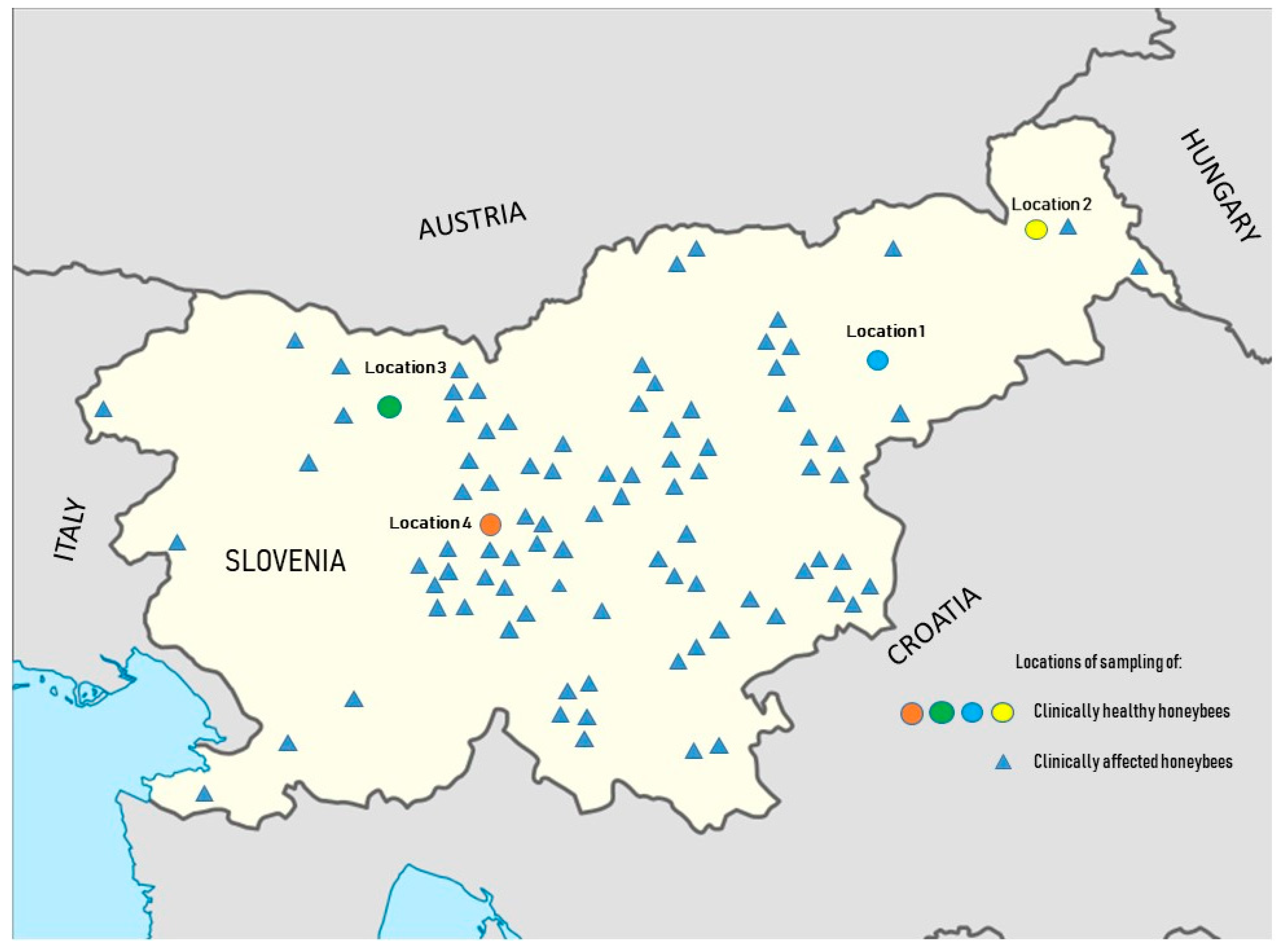 Viruses 13 01340 g001