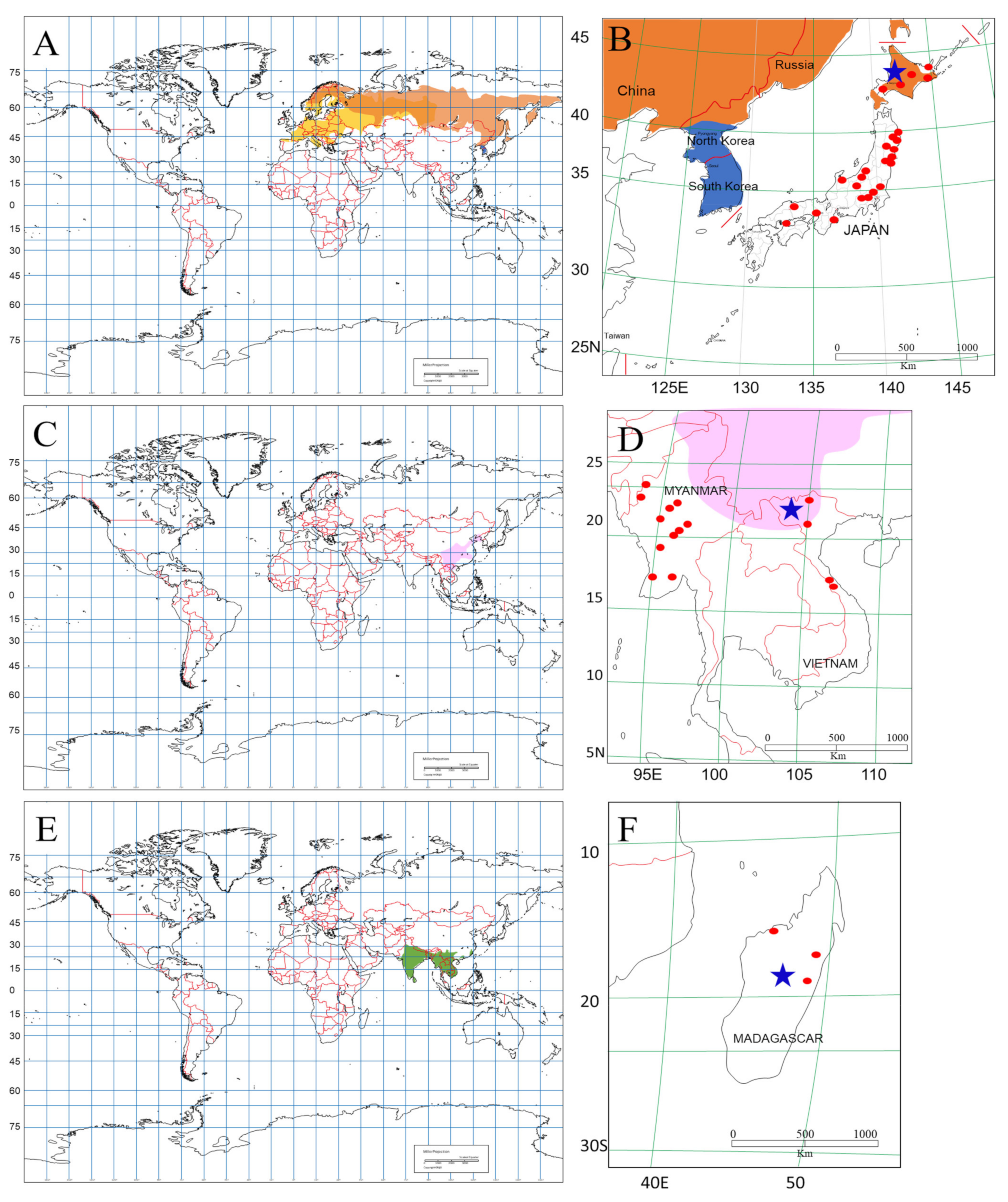 Viruses 13 01343 g001