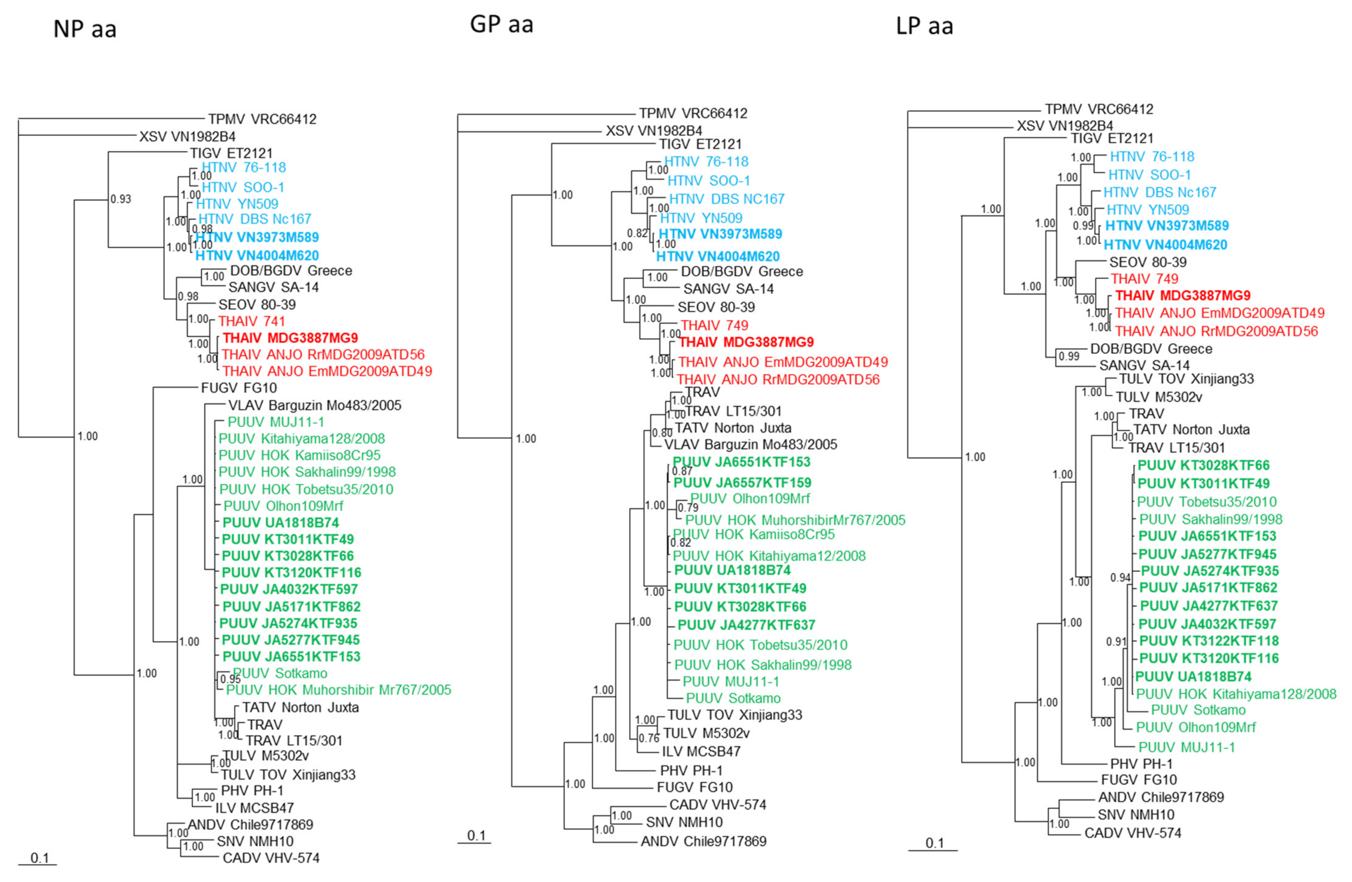 Viruses 13 01343 g003