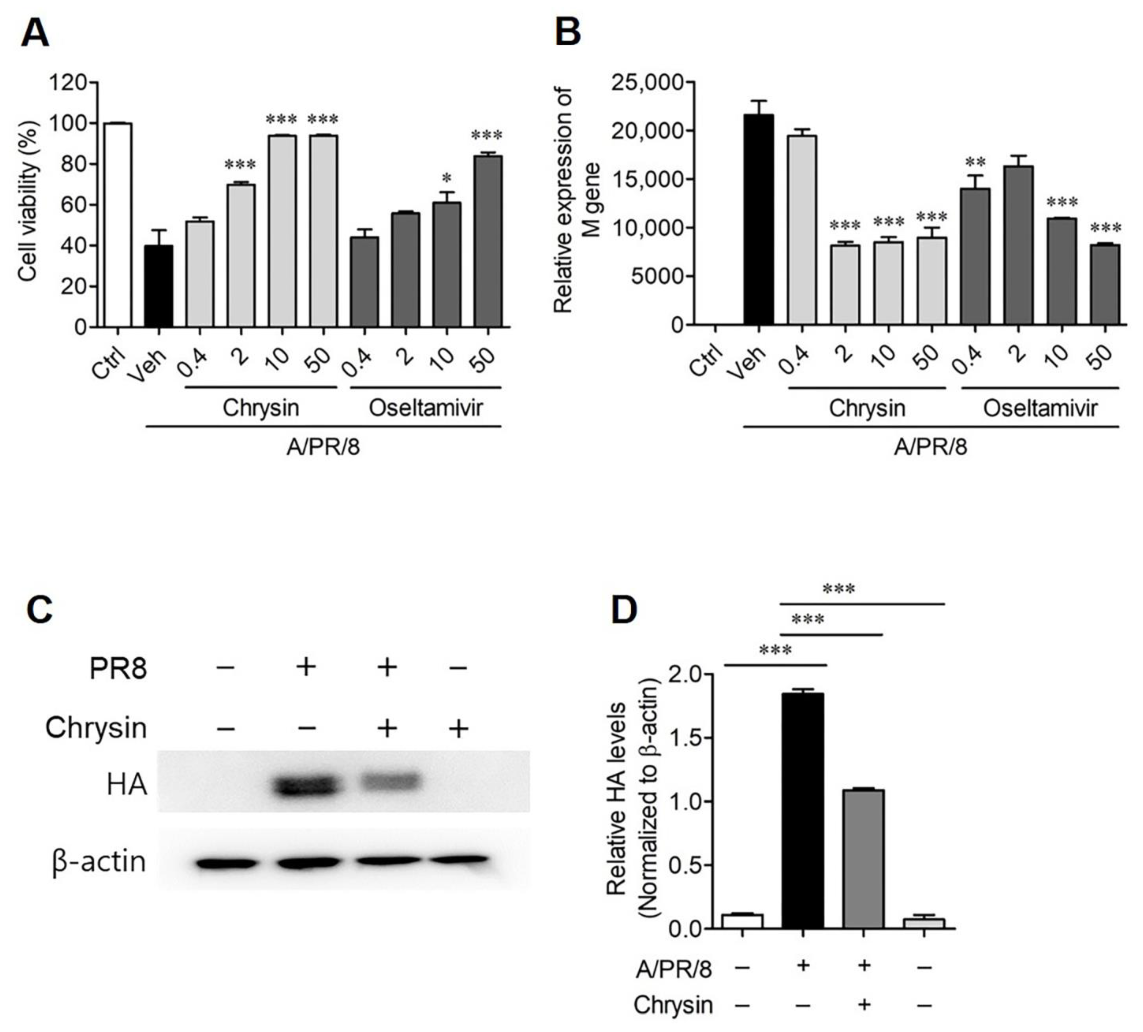 Viruses 13 01350 g001