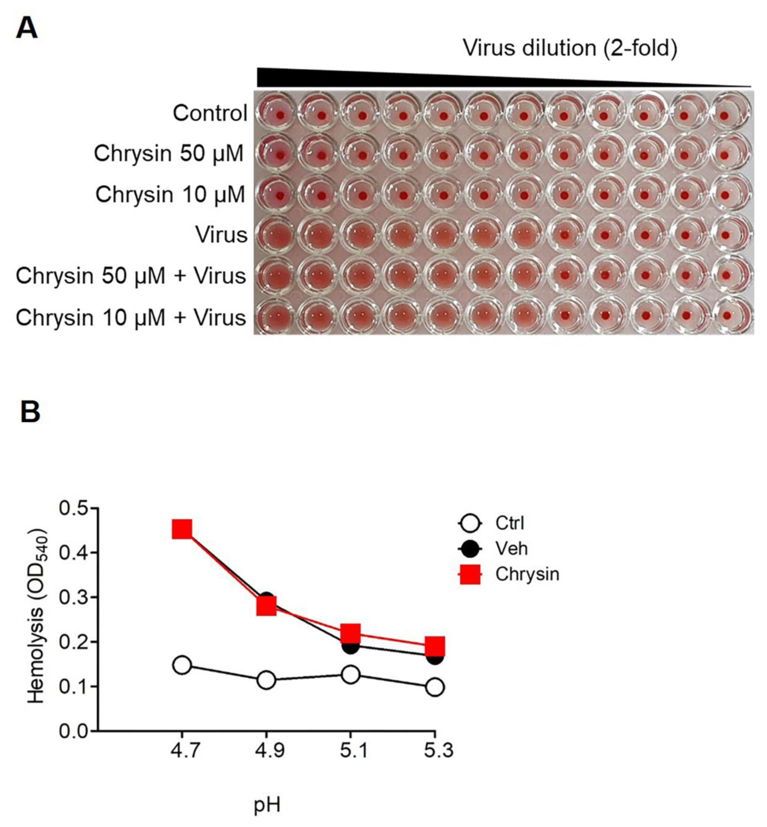 Viruses 13 01350 g003