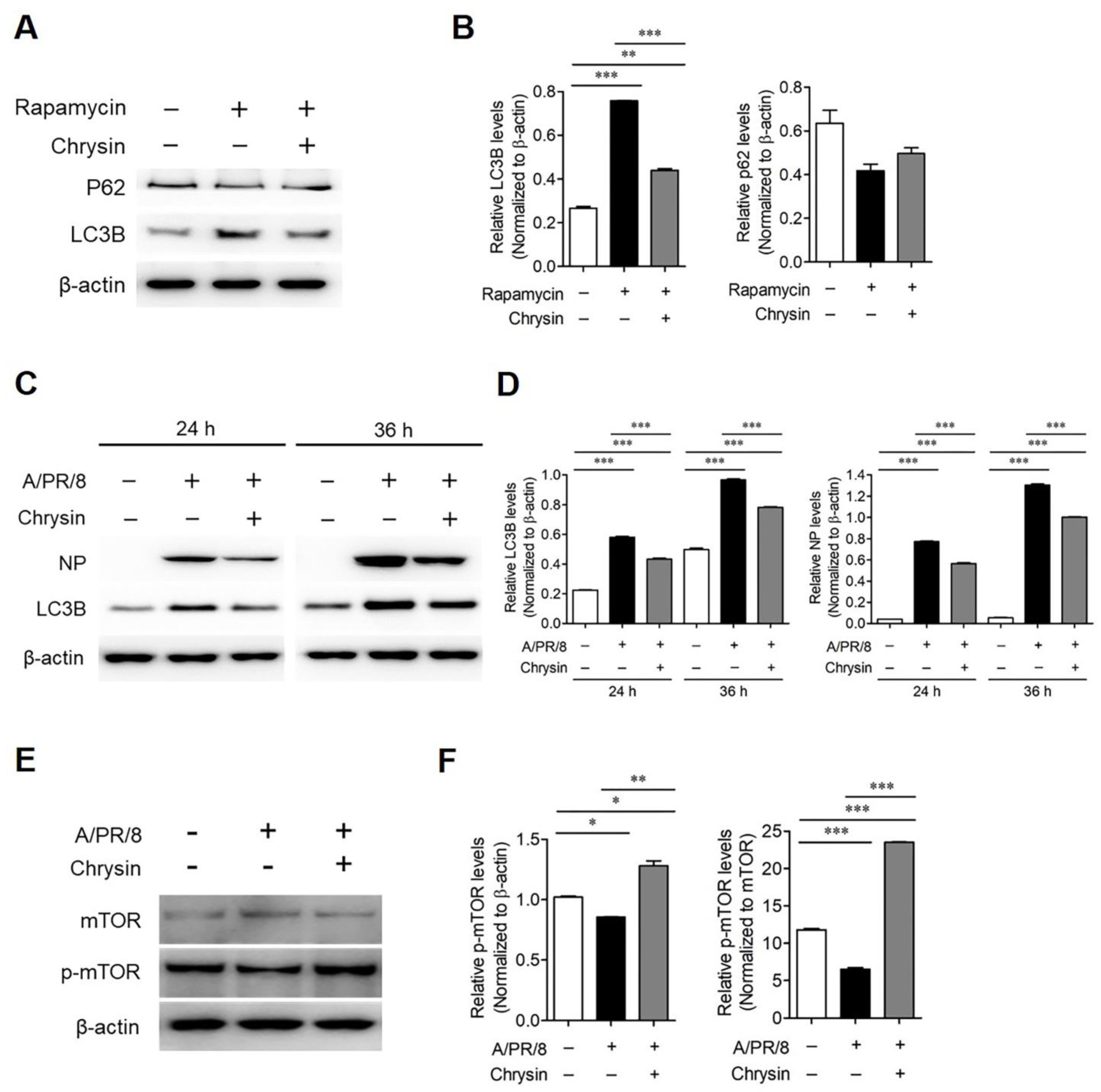 Viruses 13 01350 g004
