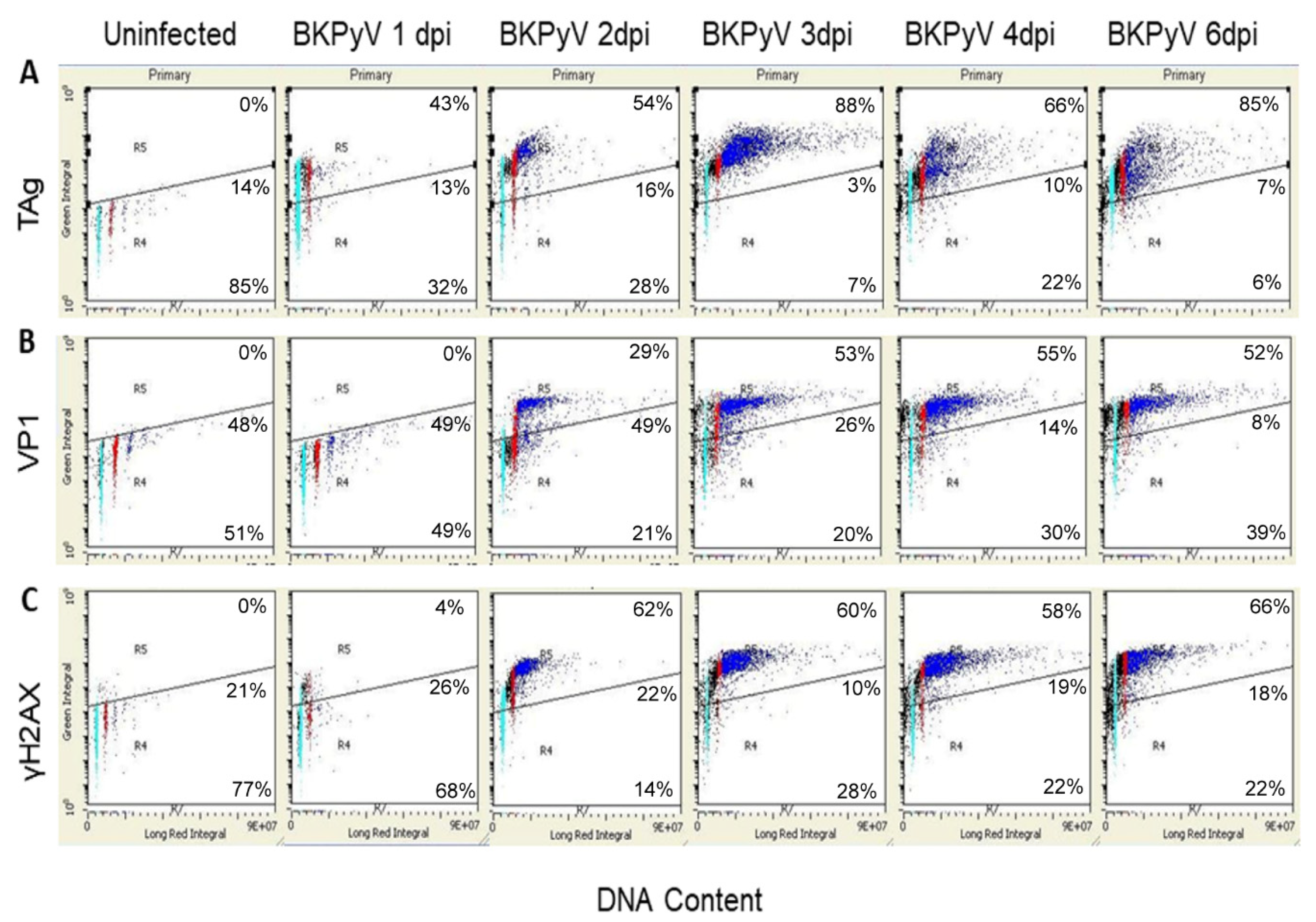 Viruses 13 01353 g003a