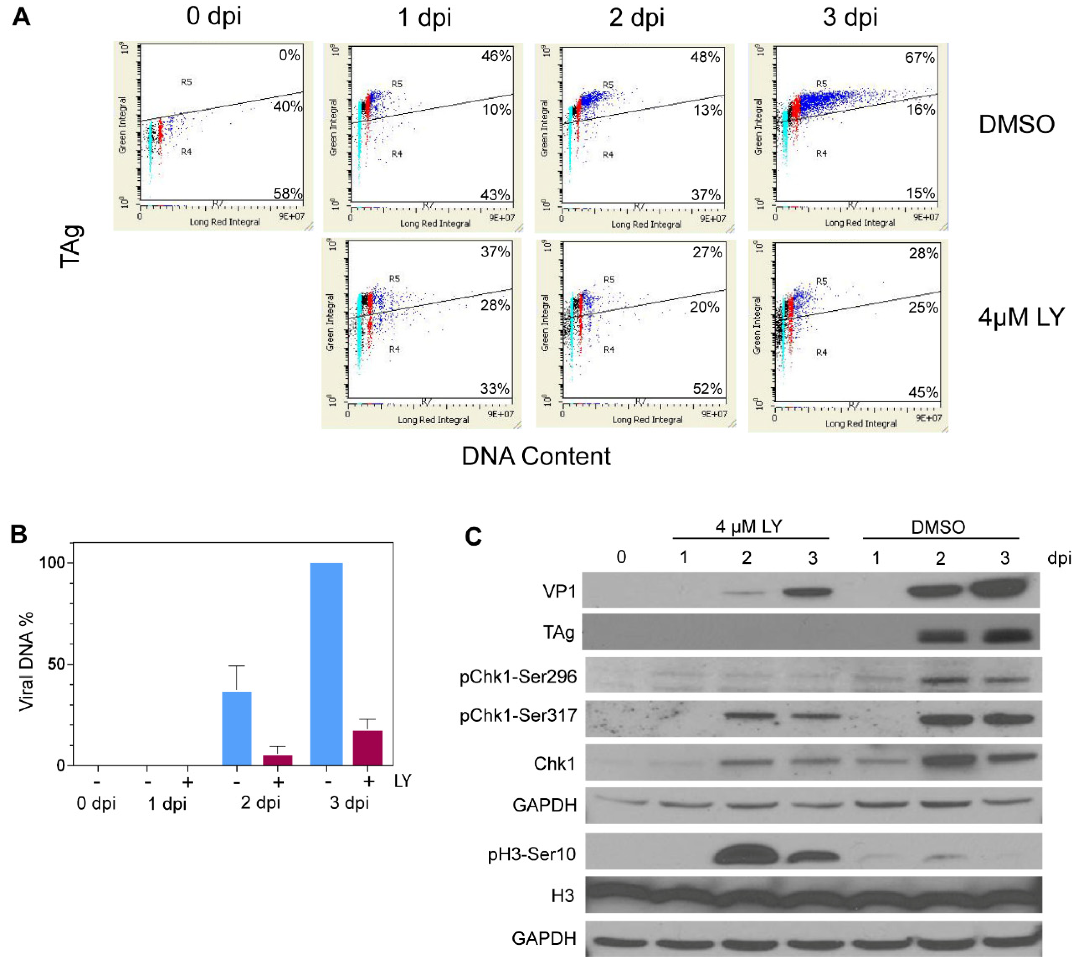 Viruses 13 01353 g005