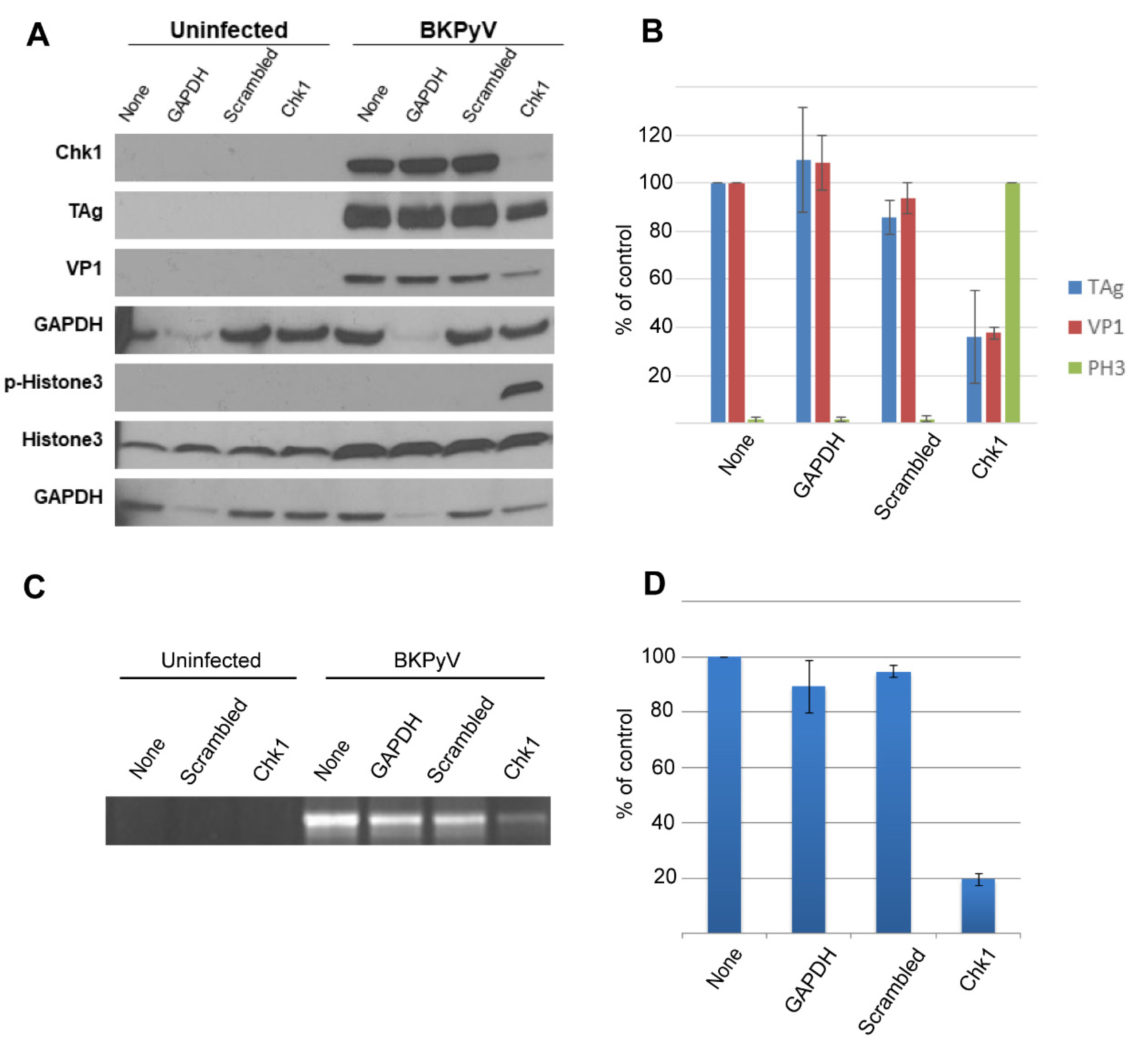 Viruses 13 01353 g008