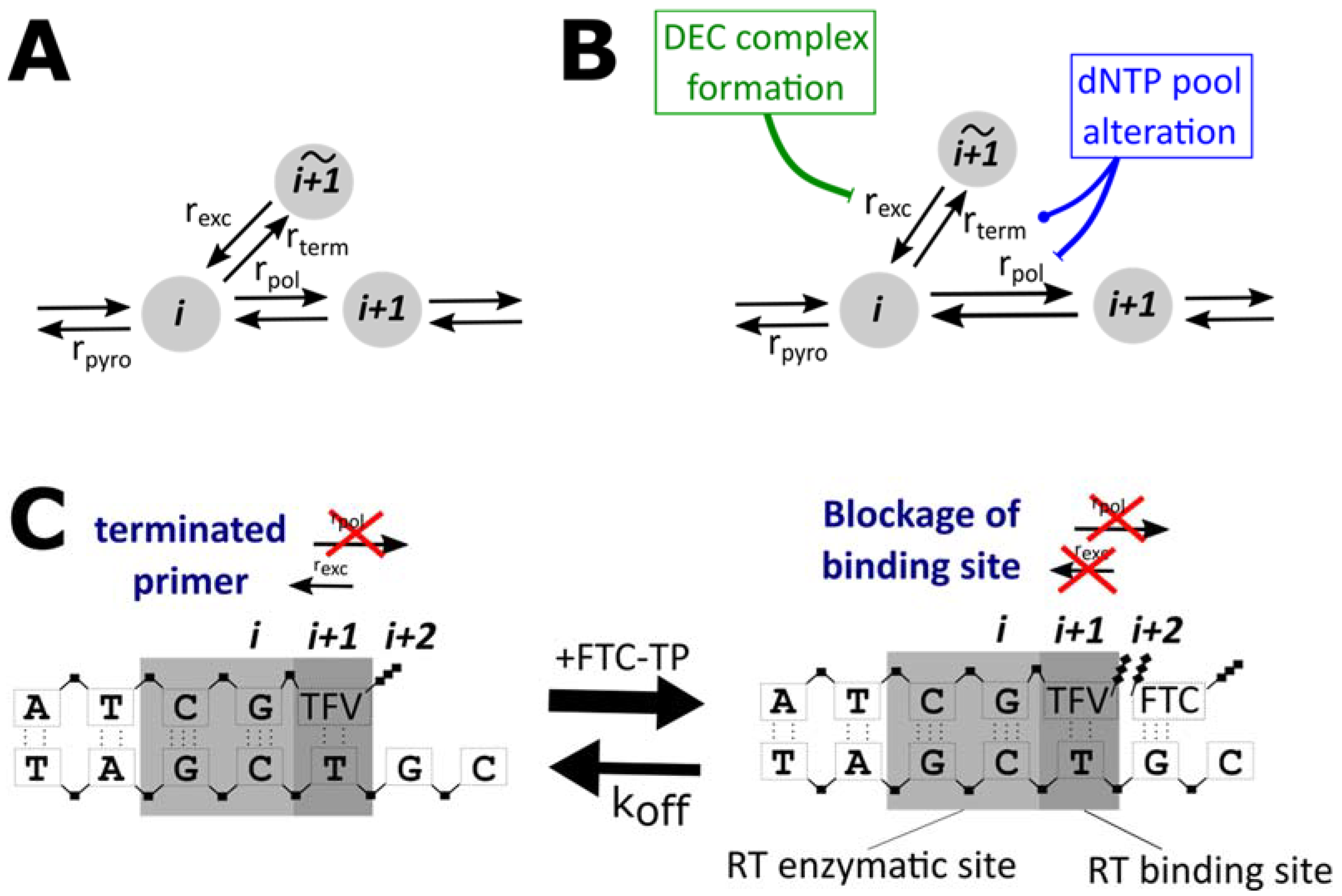 Viruses 13 01354 g001 550