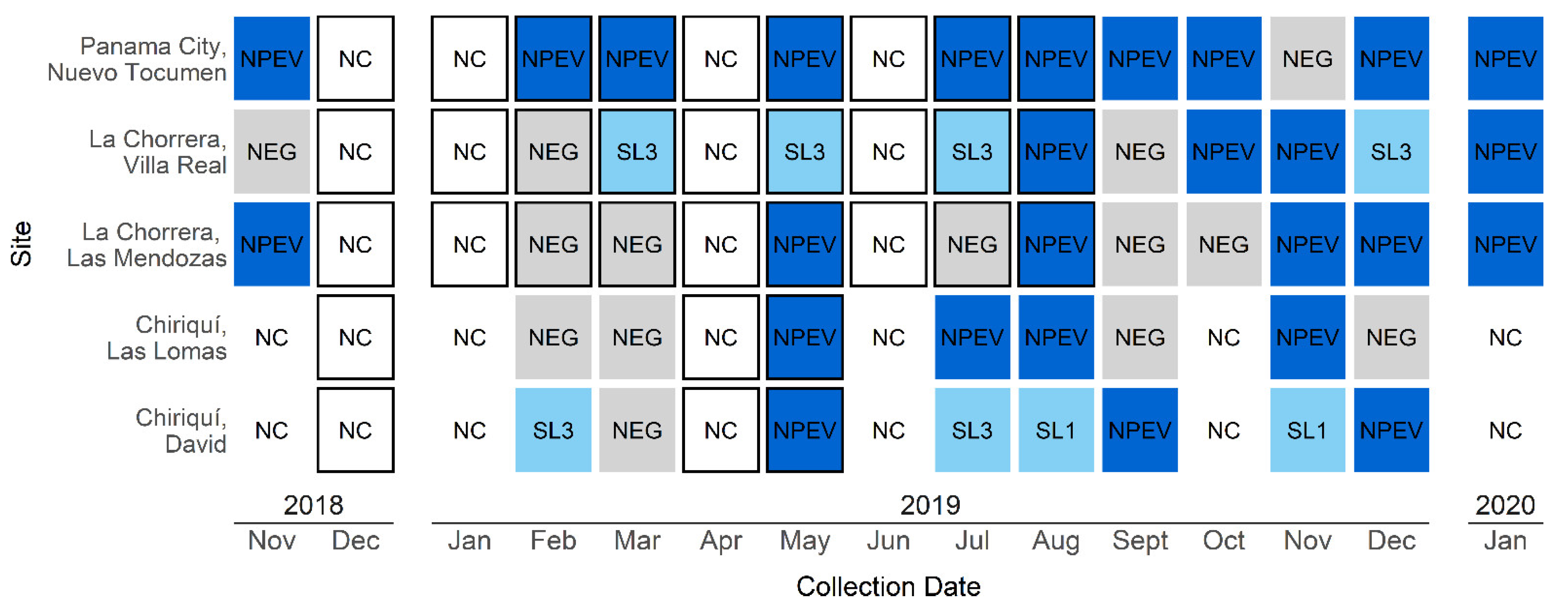Viruses 13 01355 g001 550