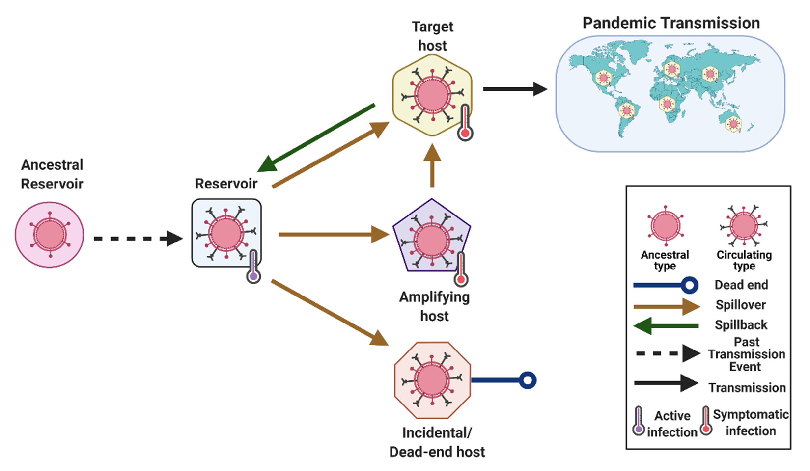 Origin Of Species Ch 65 Viruses | Free Full-Text | Setting the Terms for Zoonotic Diseases:  Effective Communication for Research, Conservation, and Public Policy