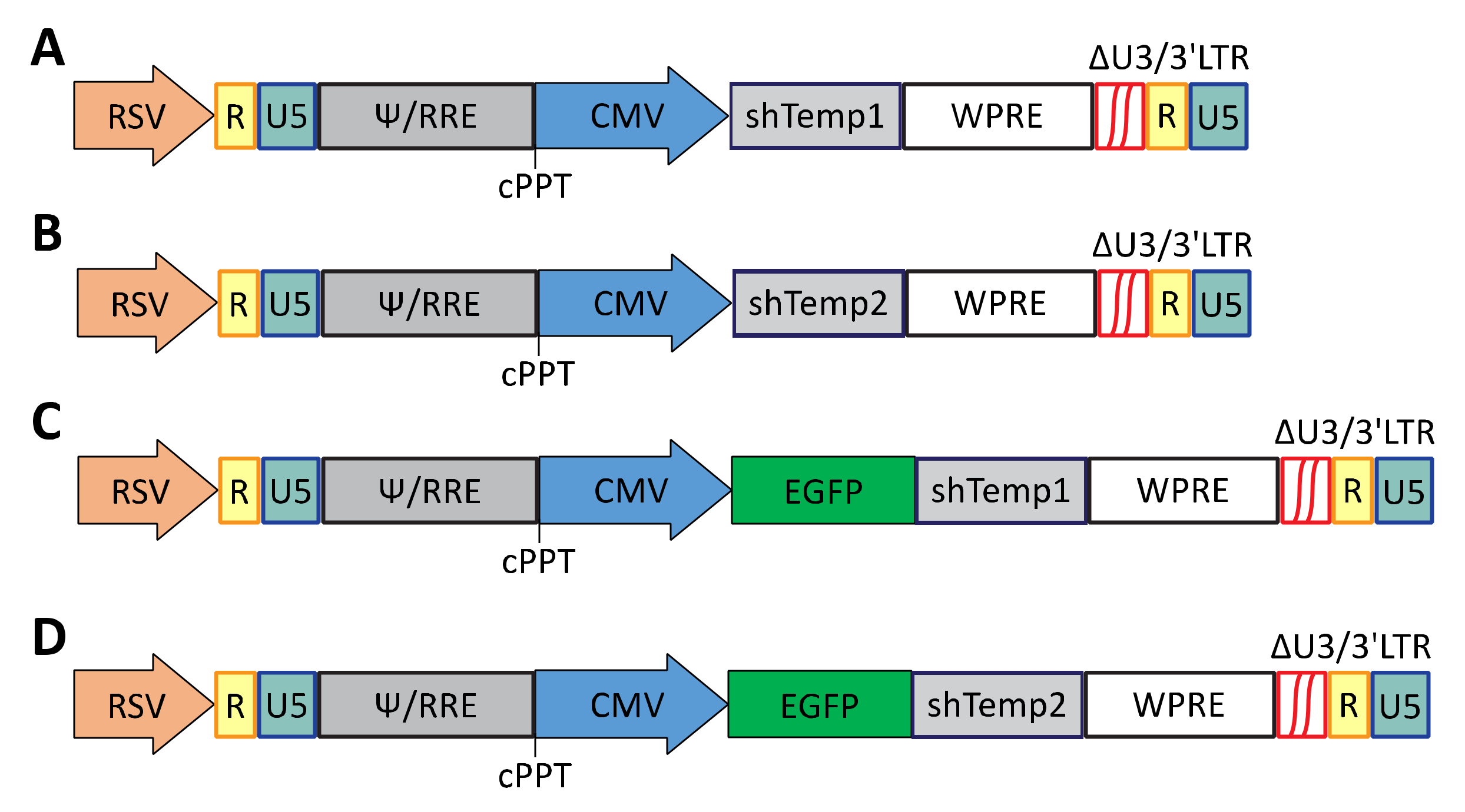 Viruses 13 01361 g001