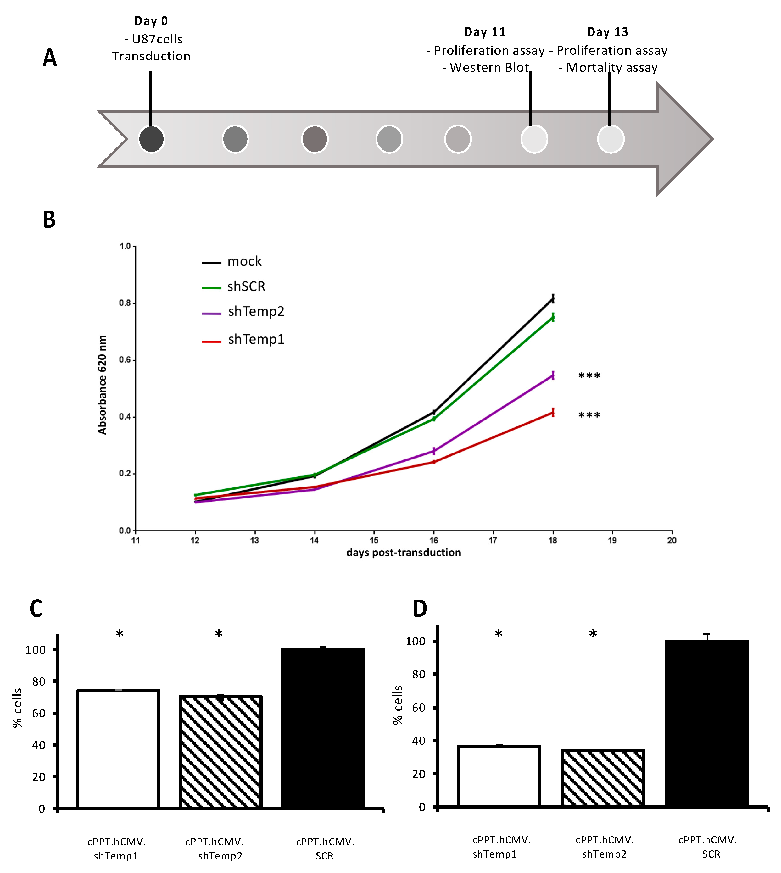 Viruses 13 01361 g004