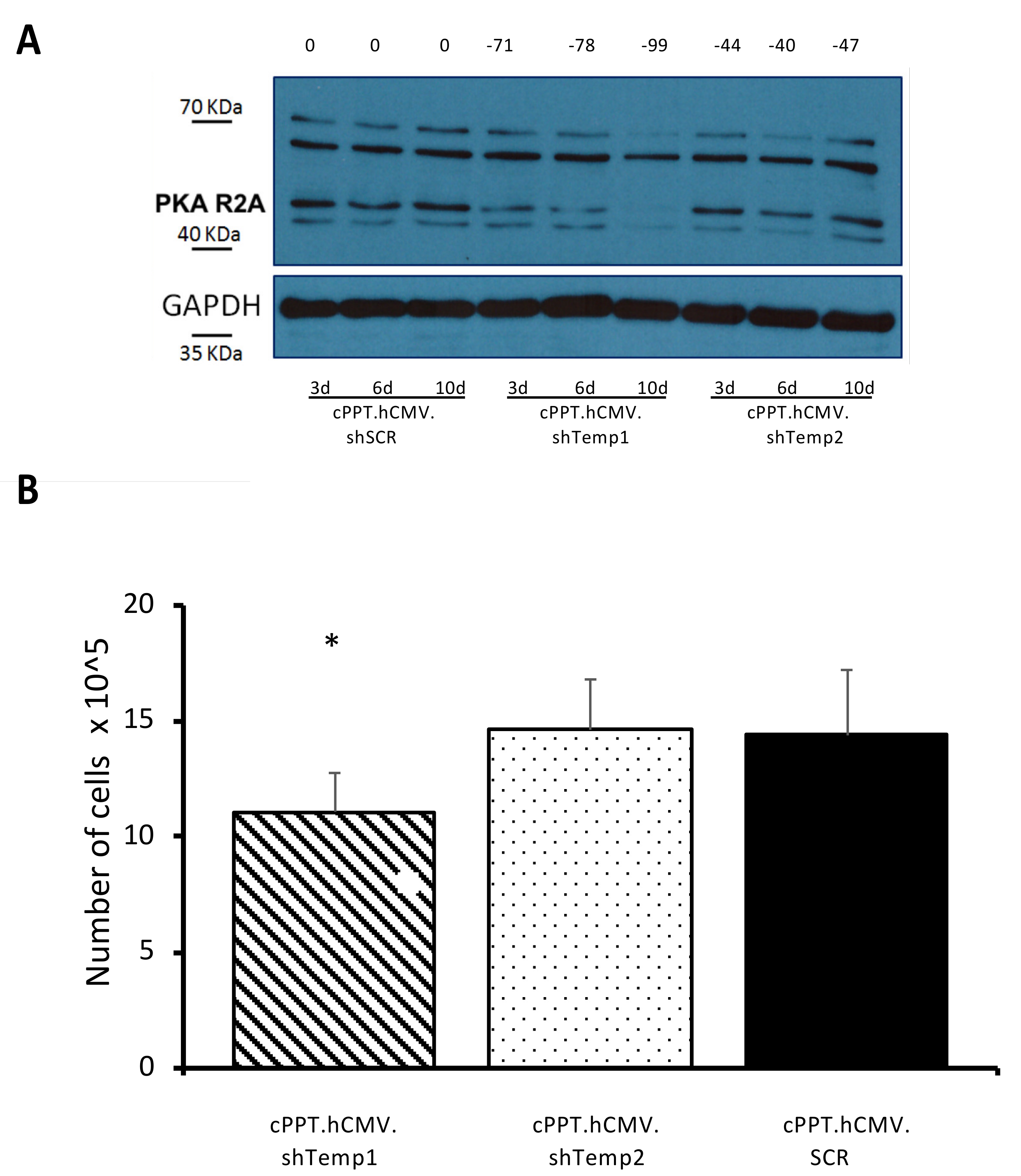 Viruses 13 01361 g005