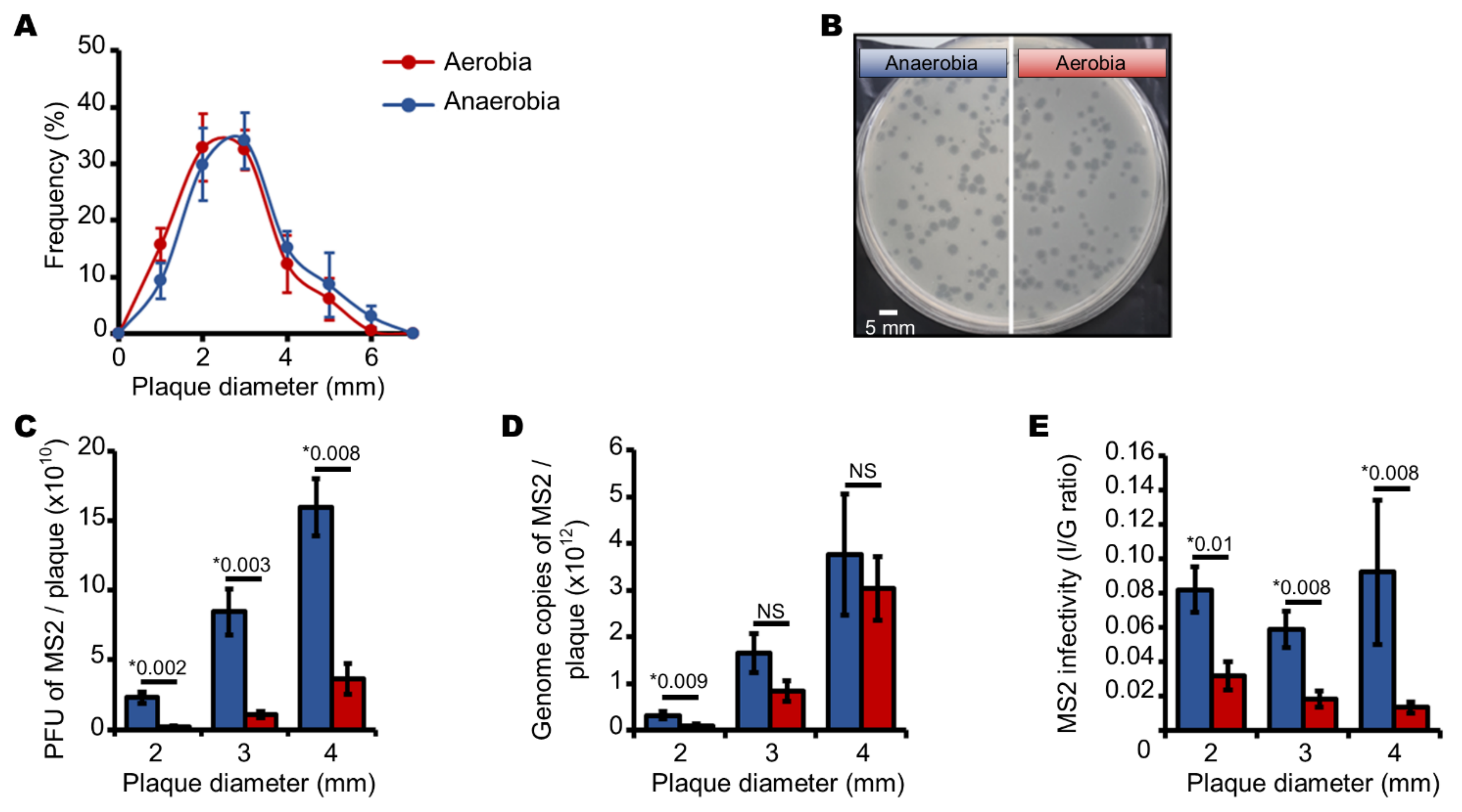 Viruses 13 01376 g004