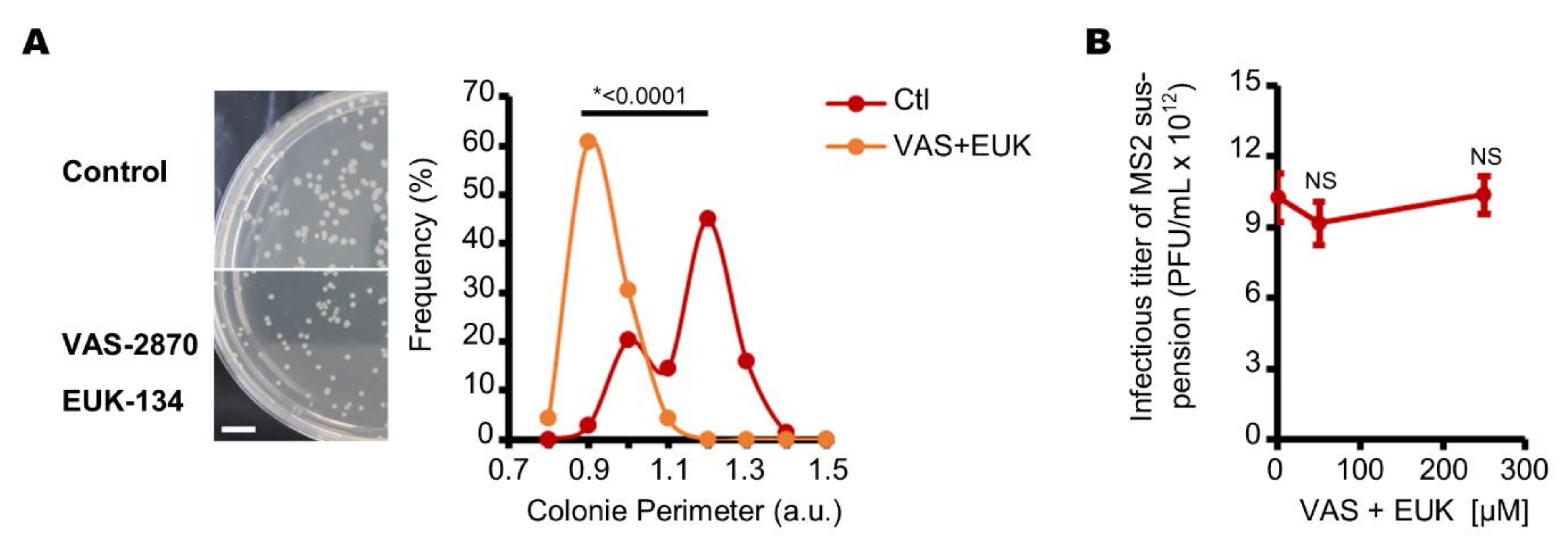 Viruses 13 01376 g005