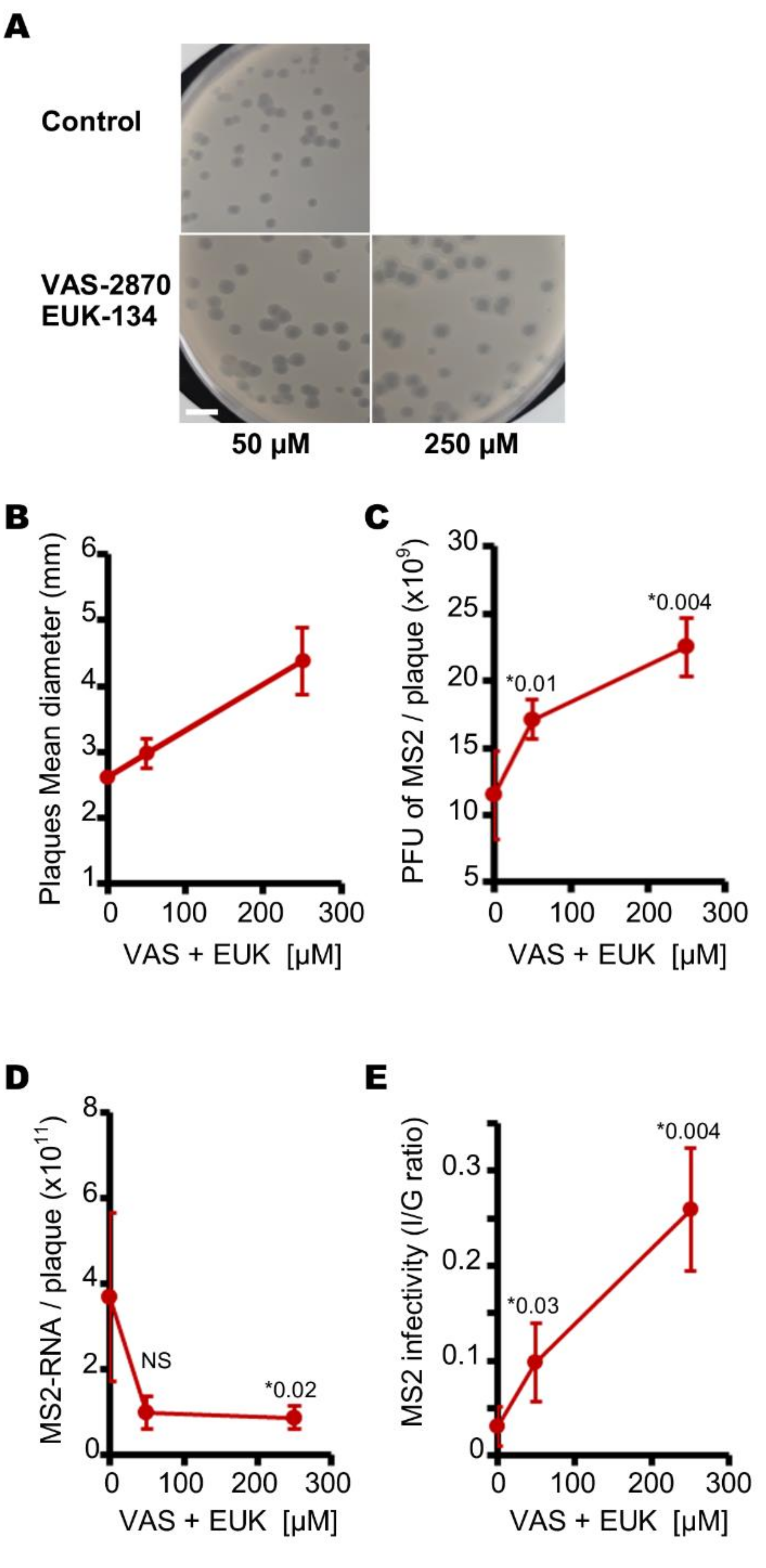 Viruses 13 01376 g006