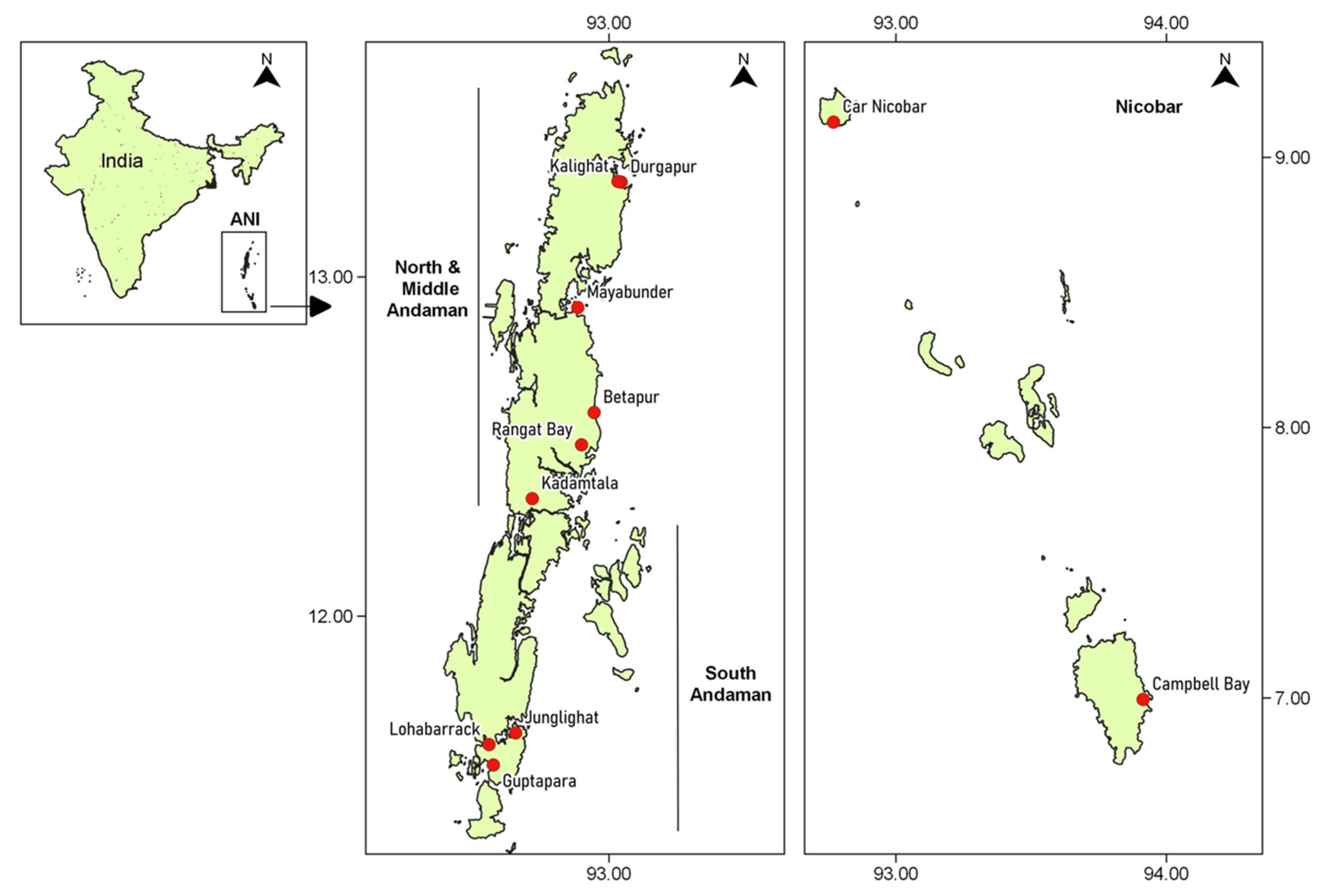 Viruses 13 01378 g001 Viruses 13 01378 g001