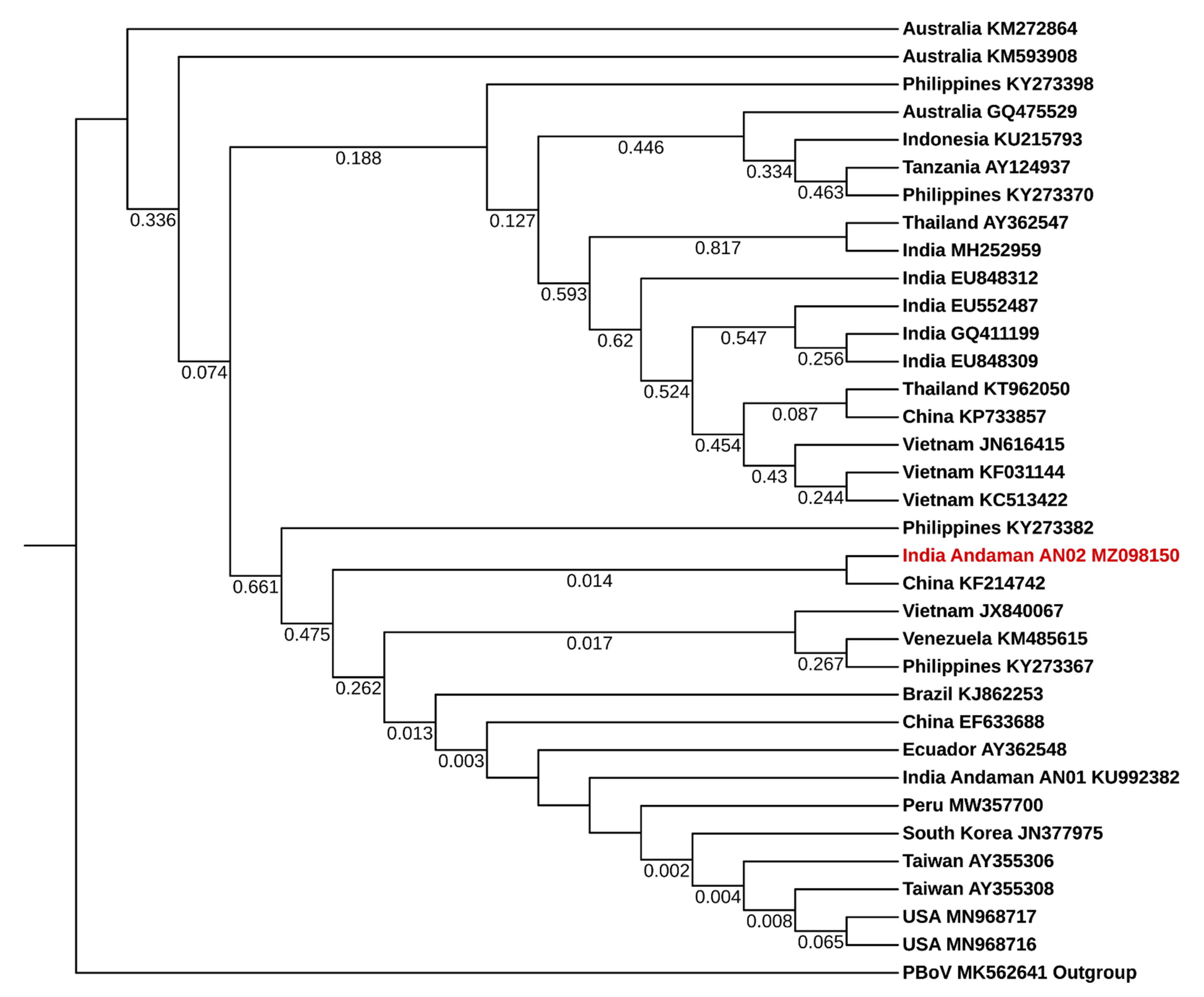 Viruses 13 01378 g002 Viruses 13 01378 g002
