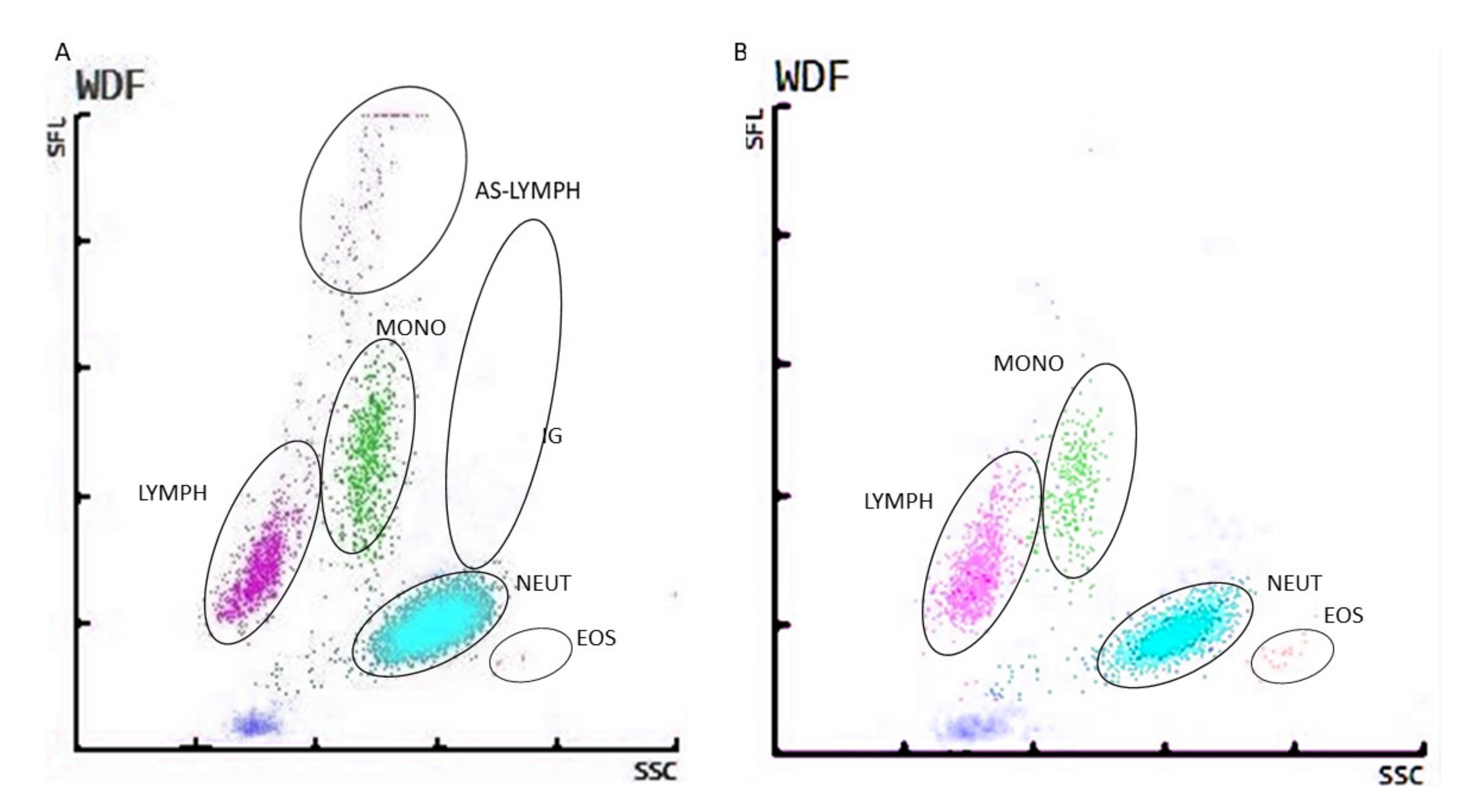 Viruses 13 01381 g002