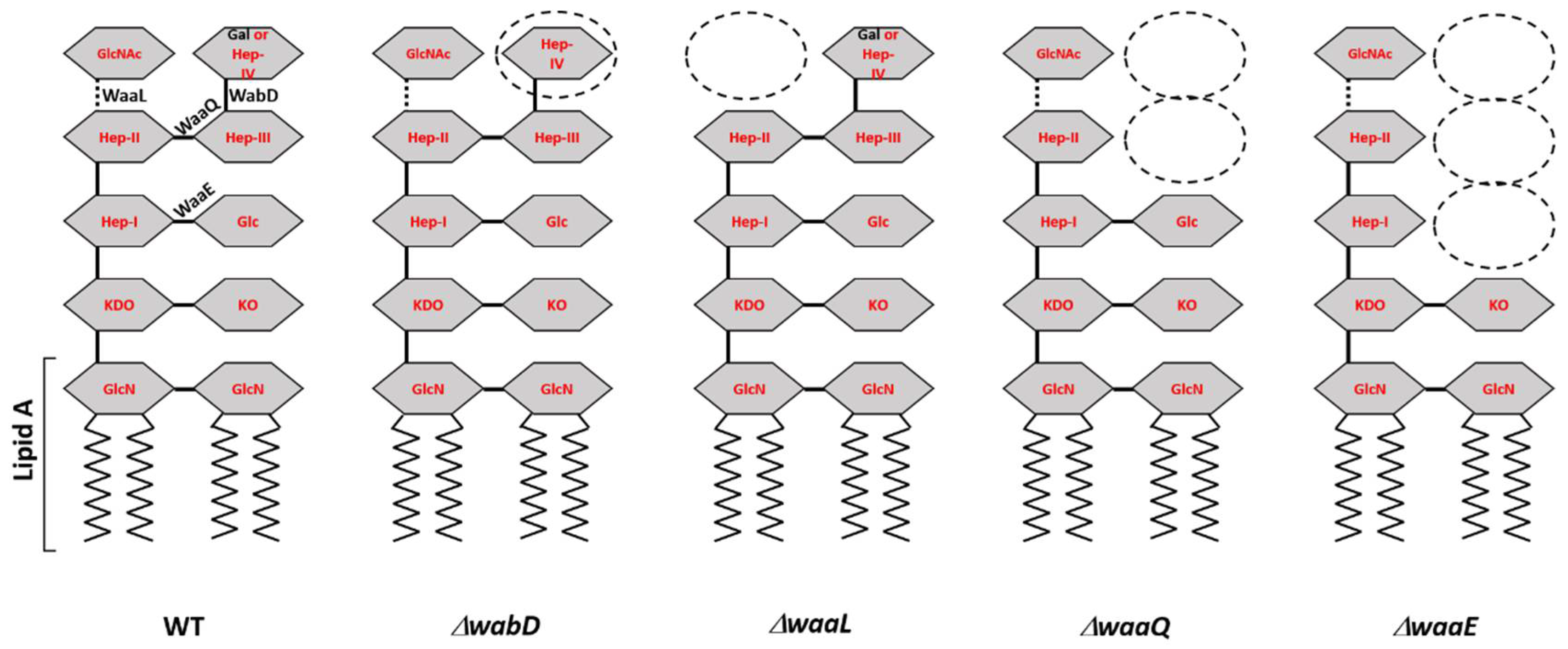 Viruses 13 01384 g002 Viruses 13 01384 g002
