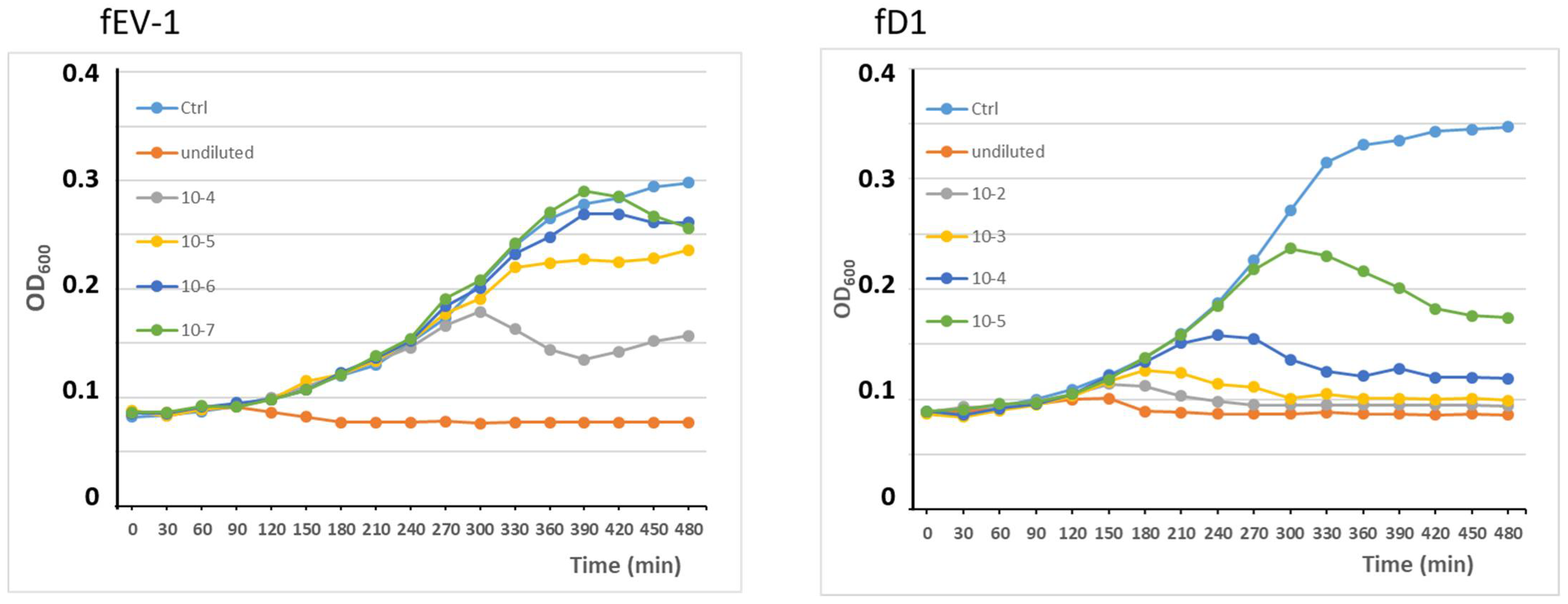 Viruses 13 01384 g004 Viruses 13 01384 g004