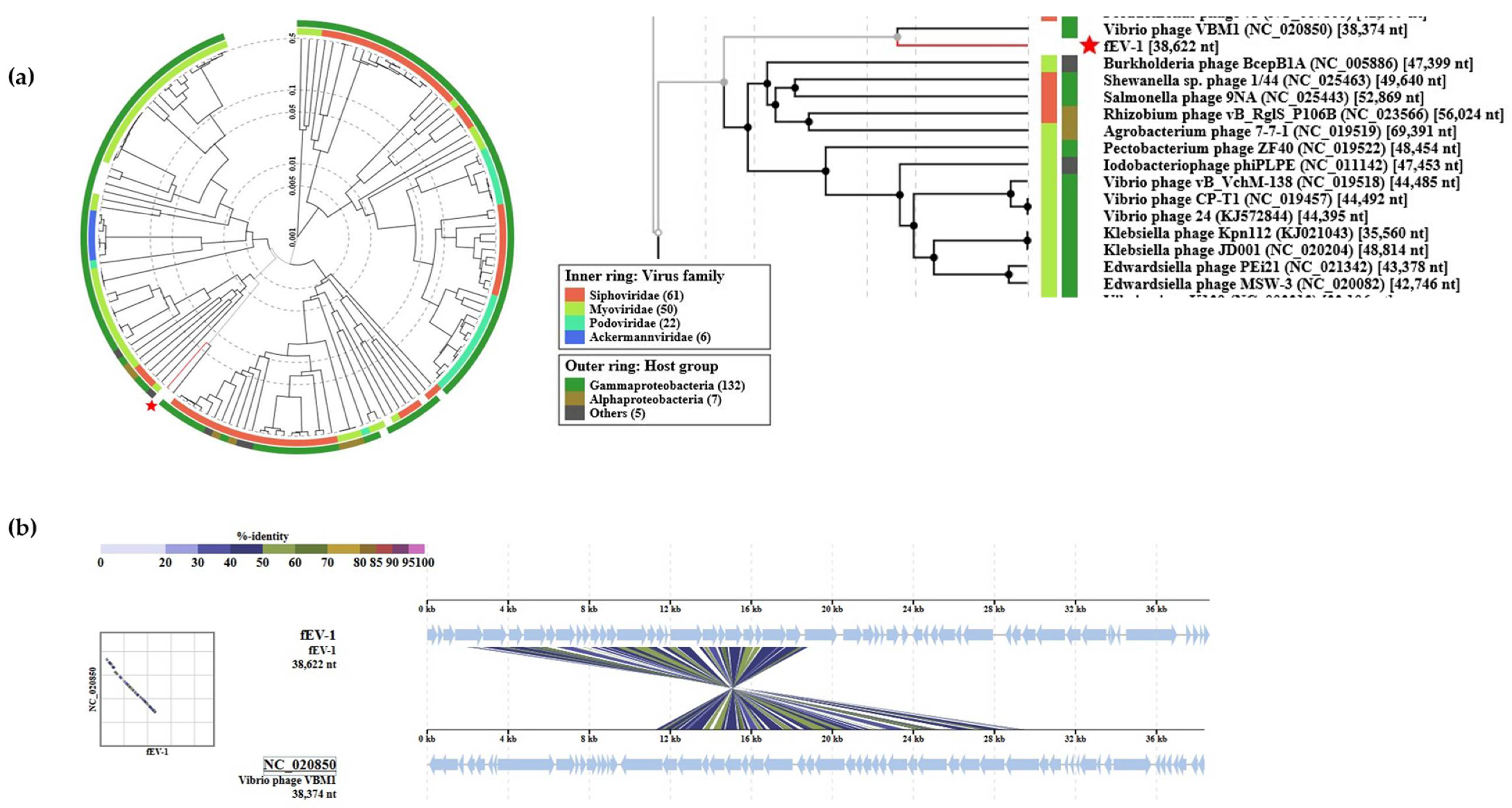 Viruses 13 01384 g008 Viruses 13 01384 g008