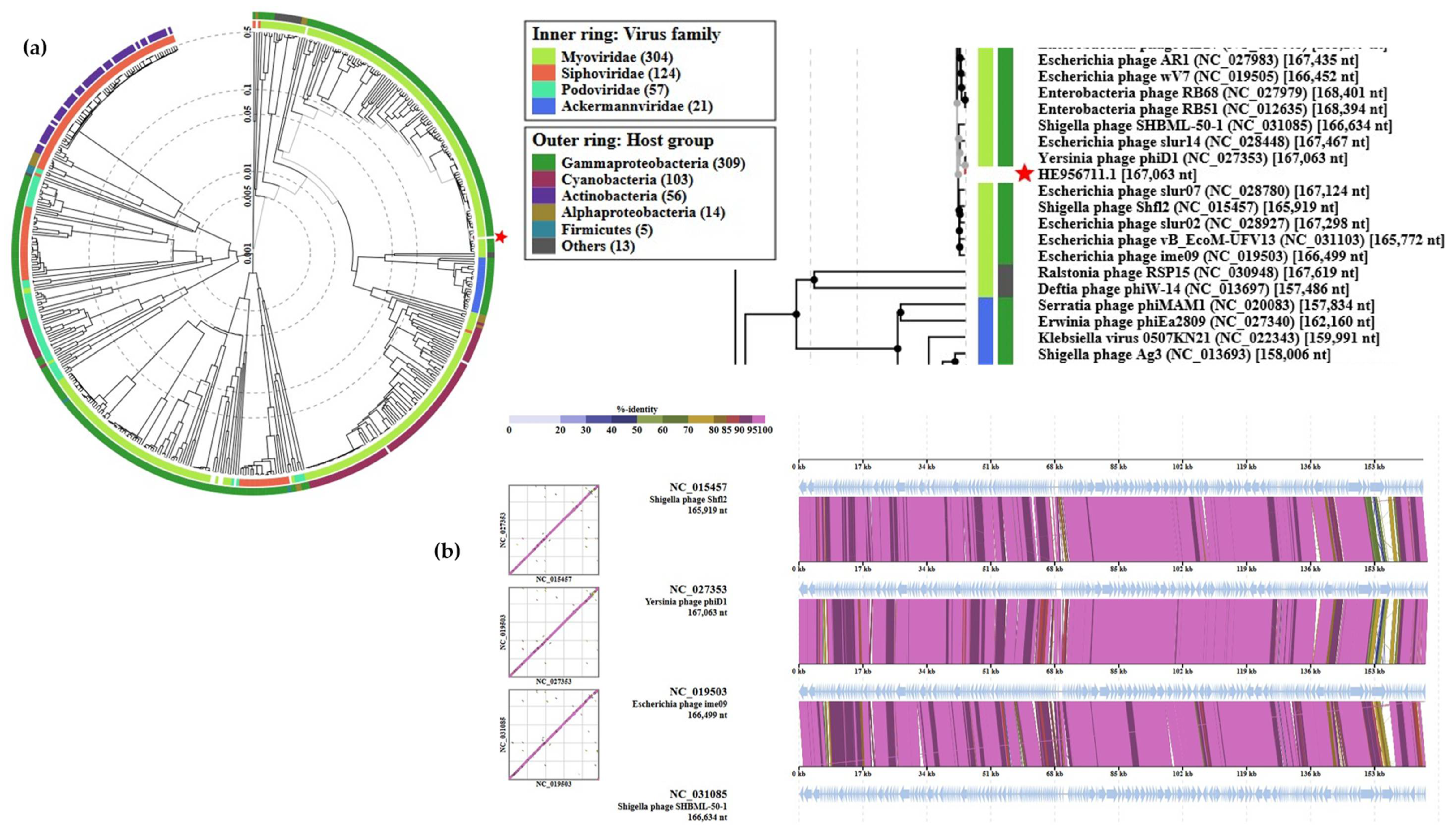 Viruses 13 01384 g010 Viruses 13 01384 g010