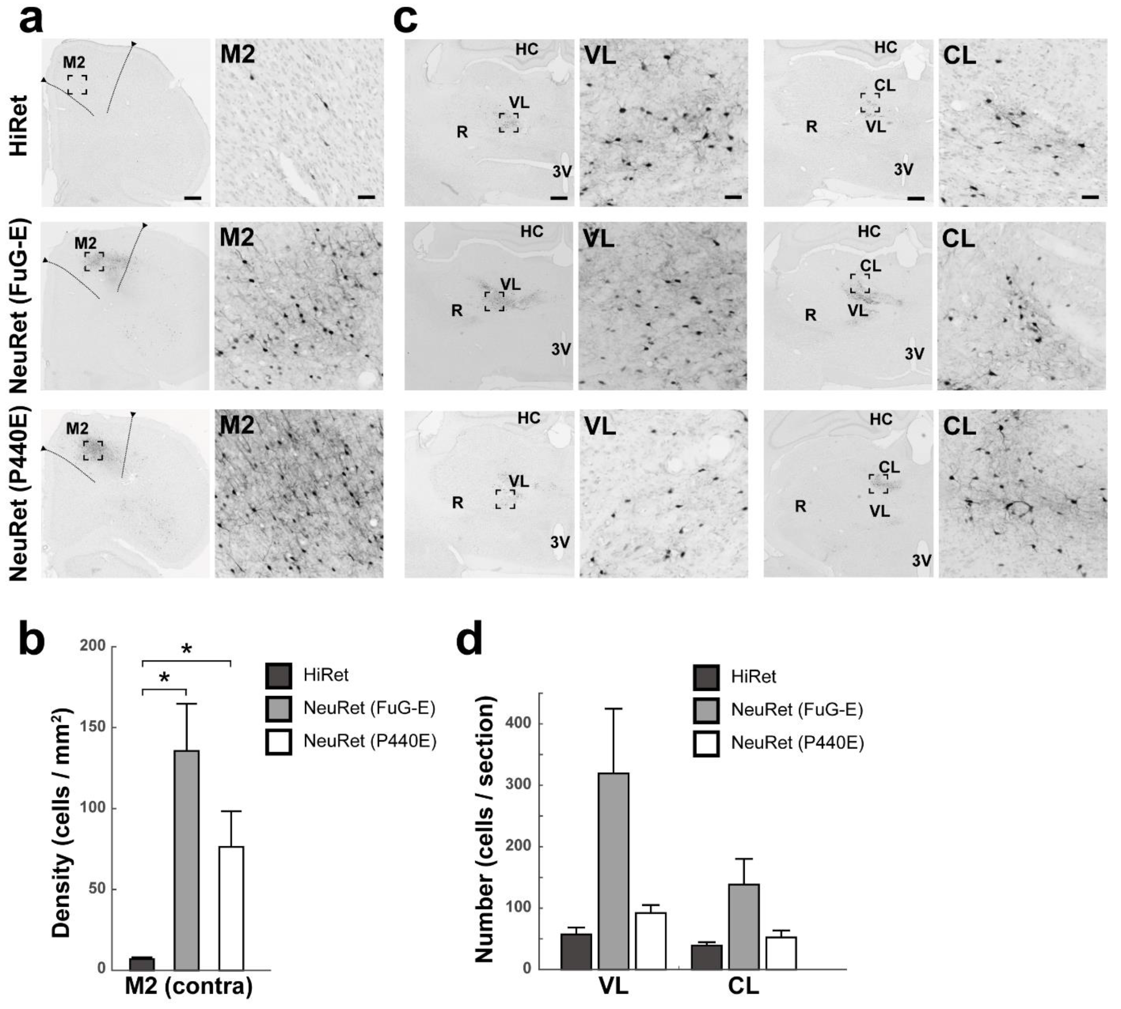 Viruses 13 01387 g001