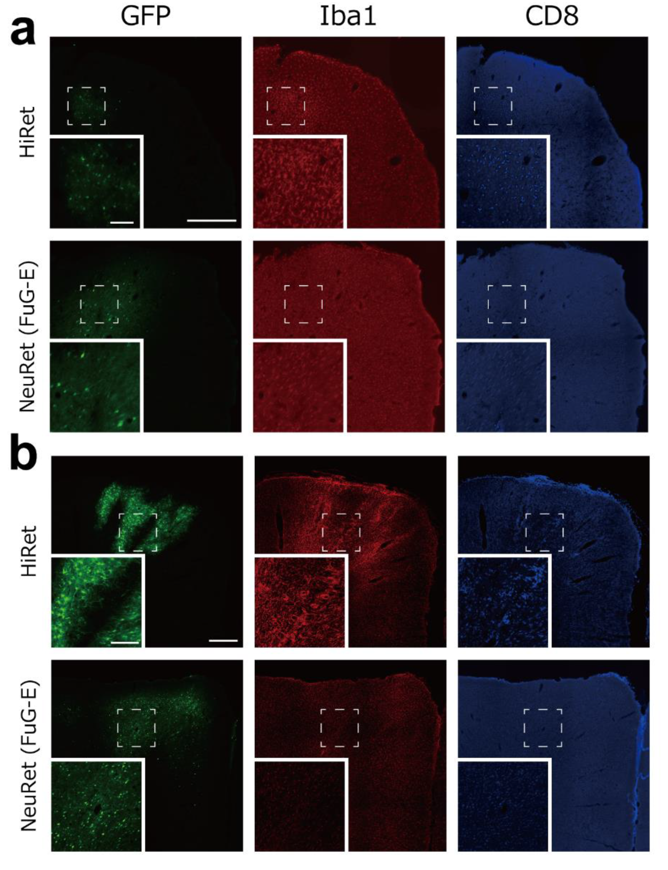 Viruses 13 01387 g004a