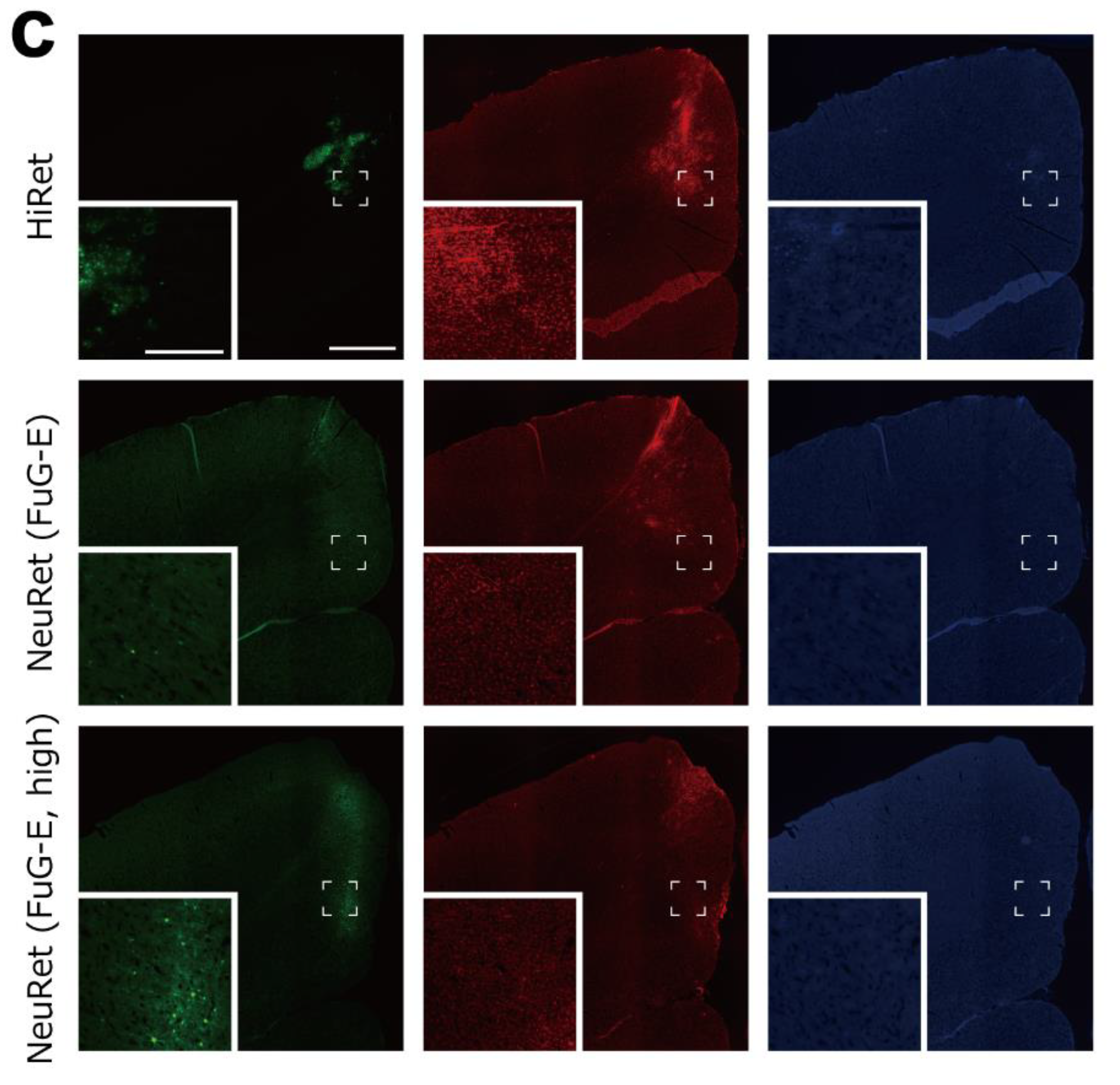 Viruses 13 01387 g004b