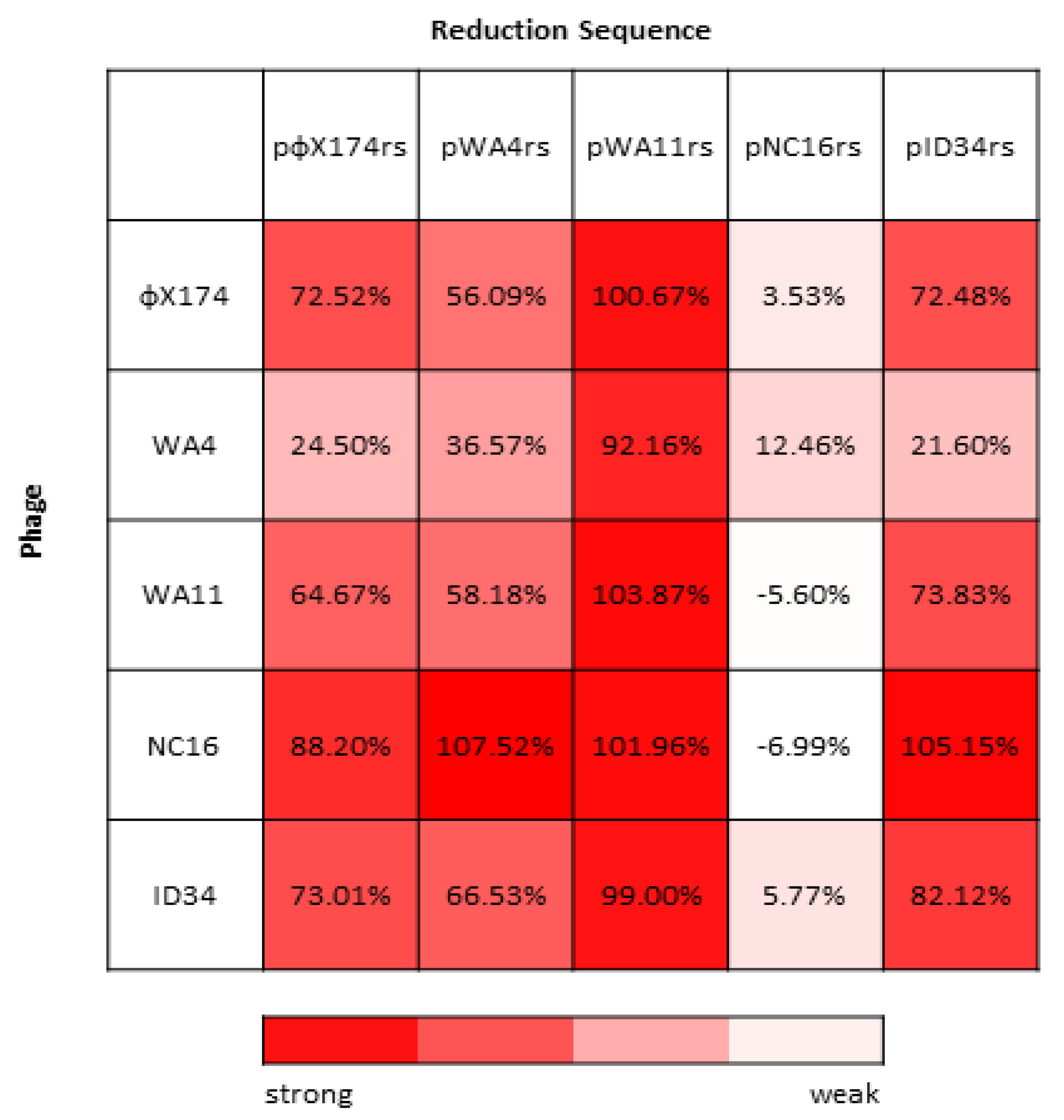 Viruses 13 01389 g004 Viruses 13 01389 g004