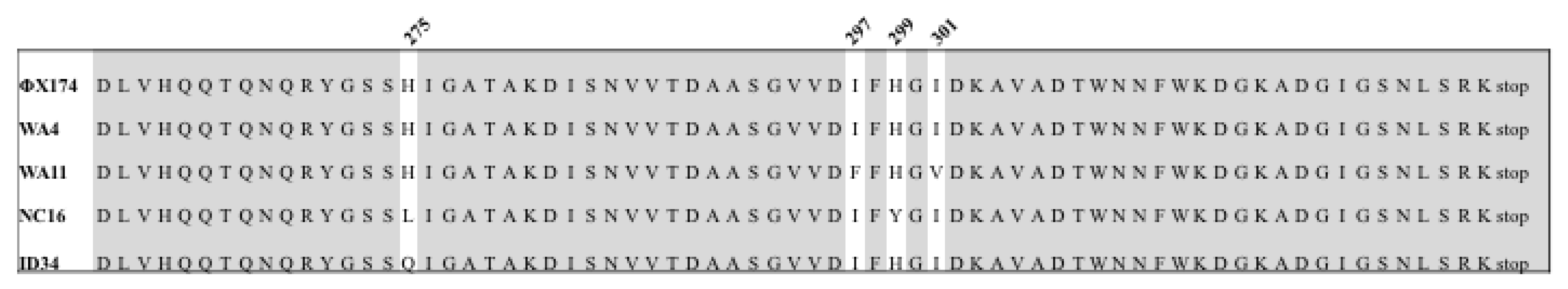 Viruses 13 01389 g005 Viruses 13 01389 g005