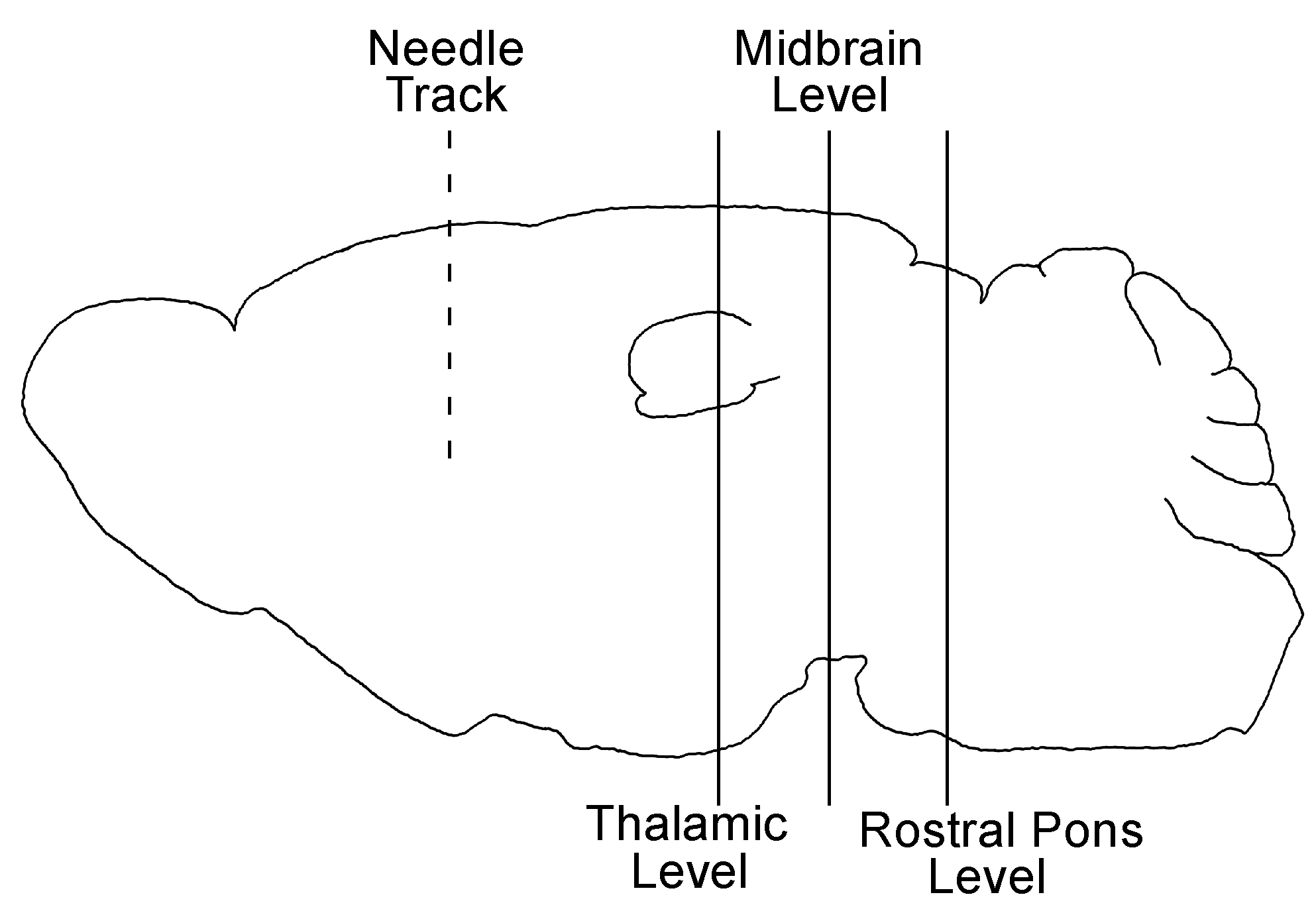 Viruses 13 01391 g002 Viruses 13 01391 g002