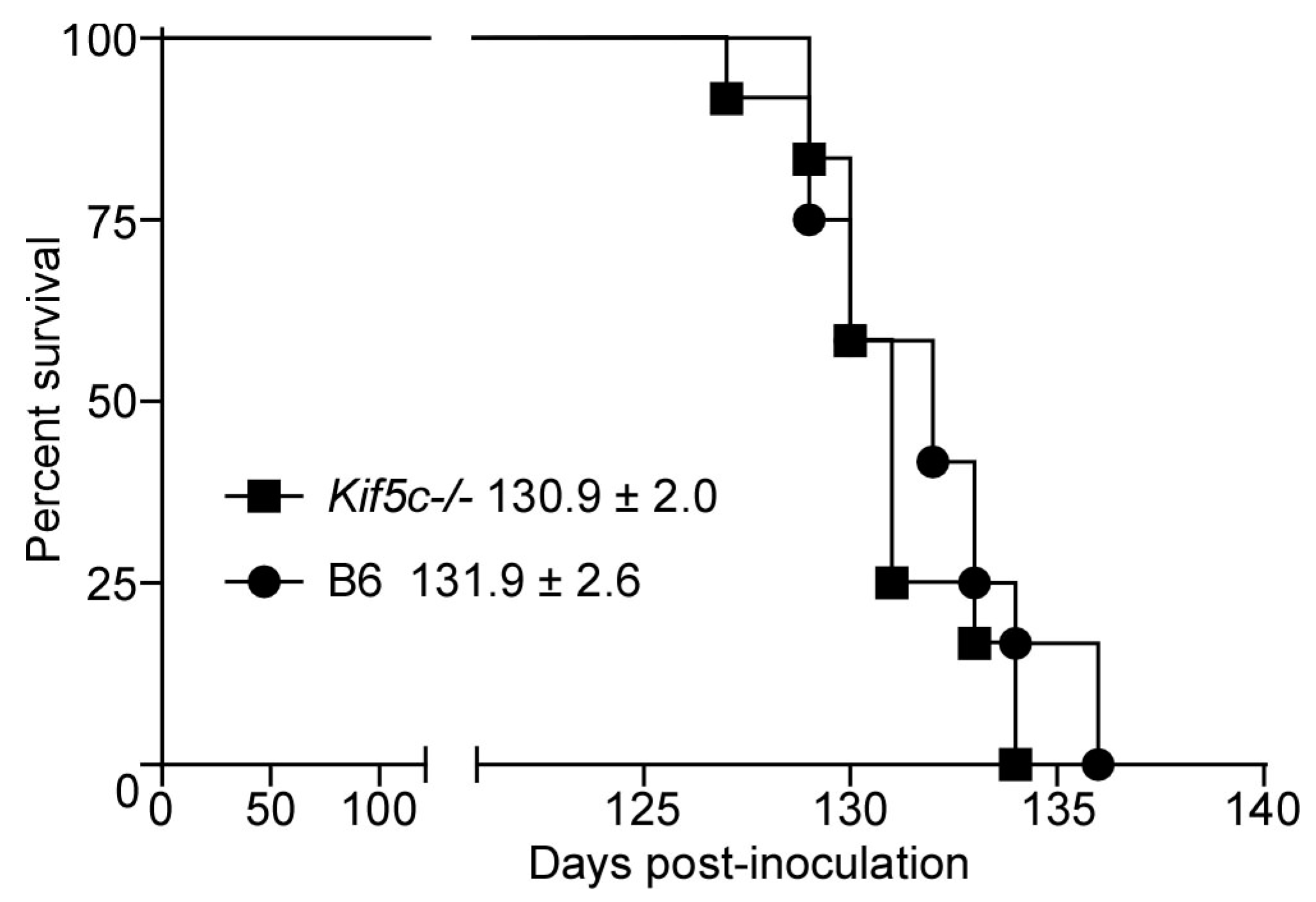 Viruses 13 01391 g006 Viruses 13 01391 g006